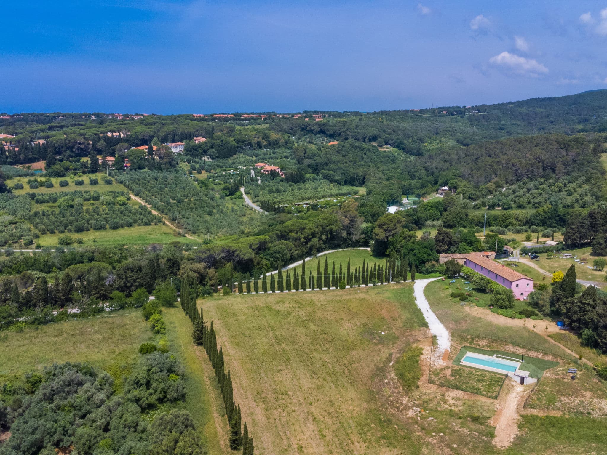 View