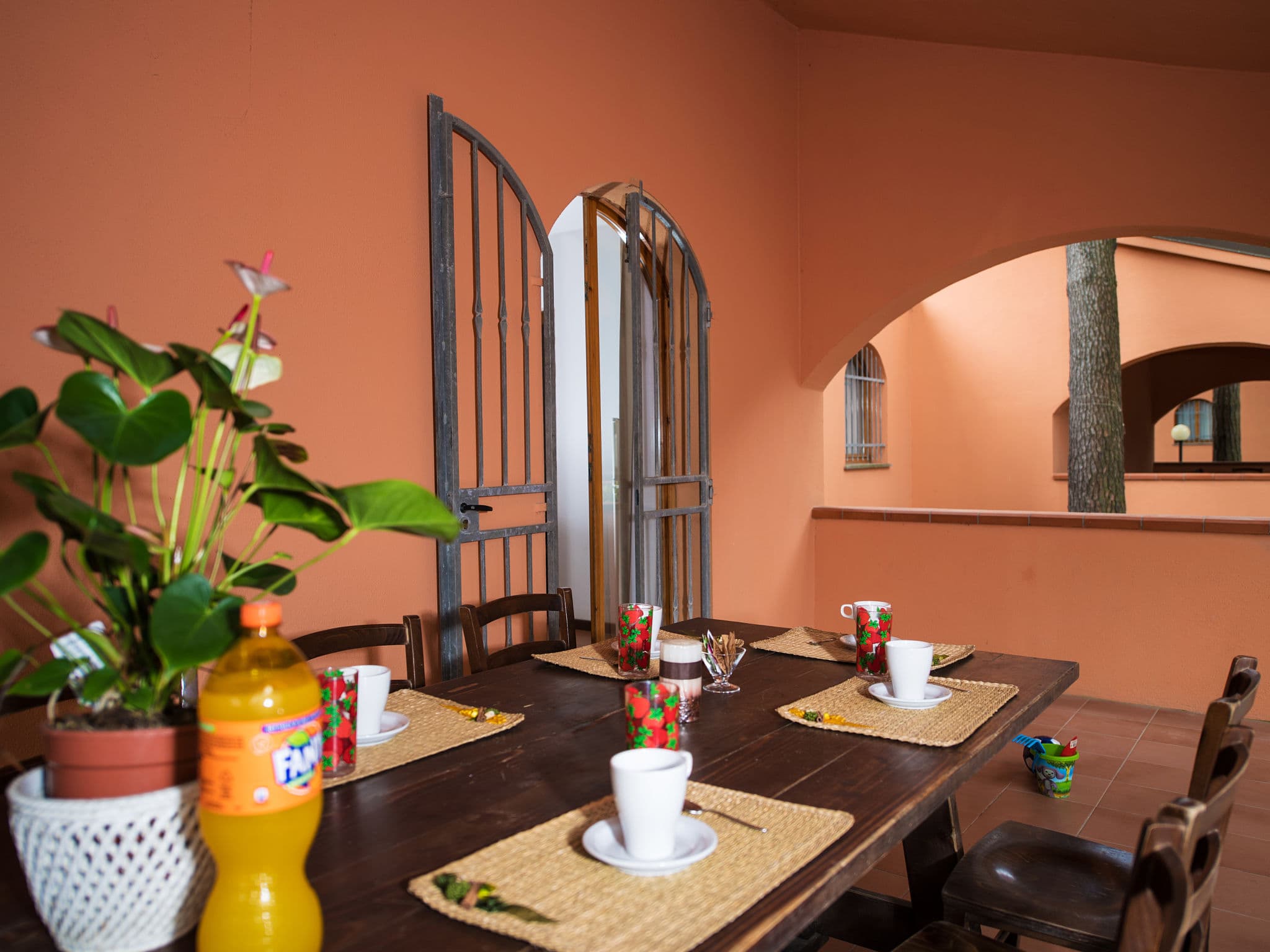 Terrace