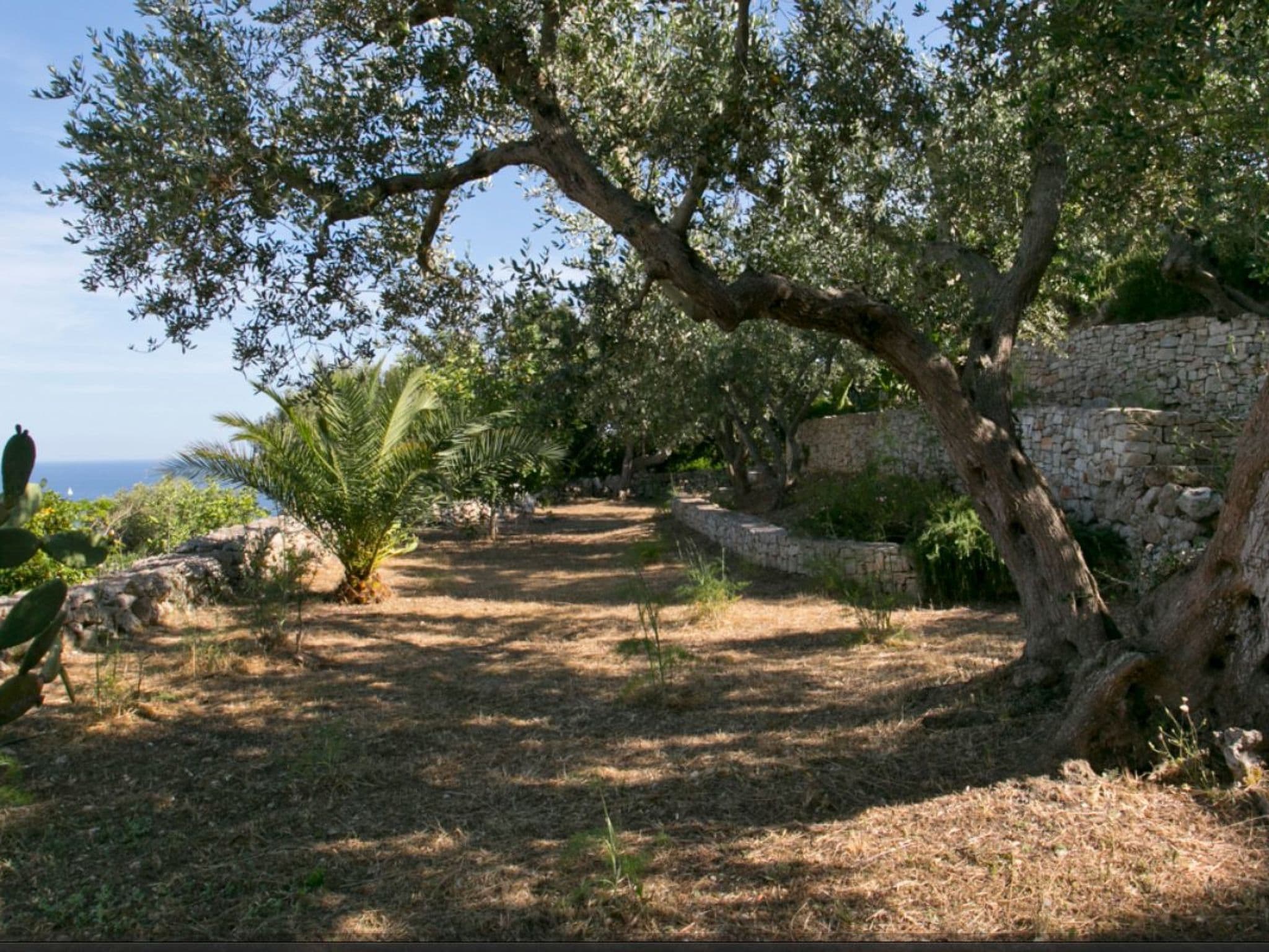Gallery Image 39