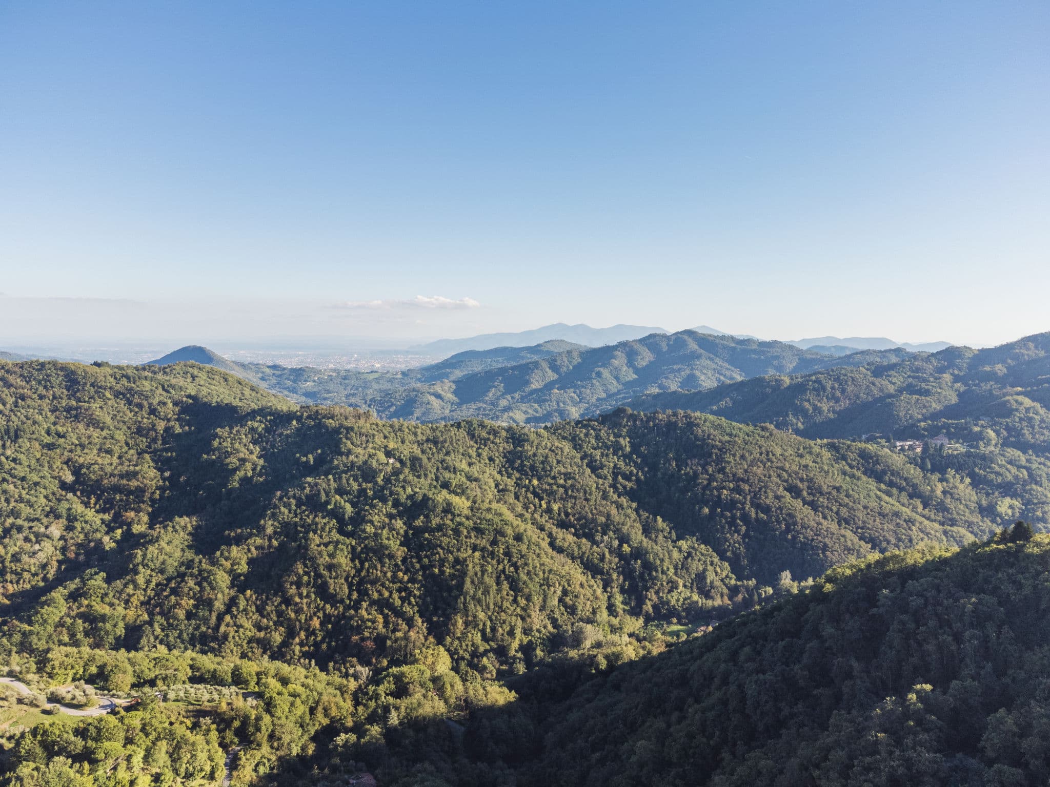 View