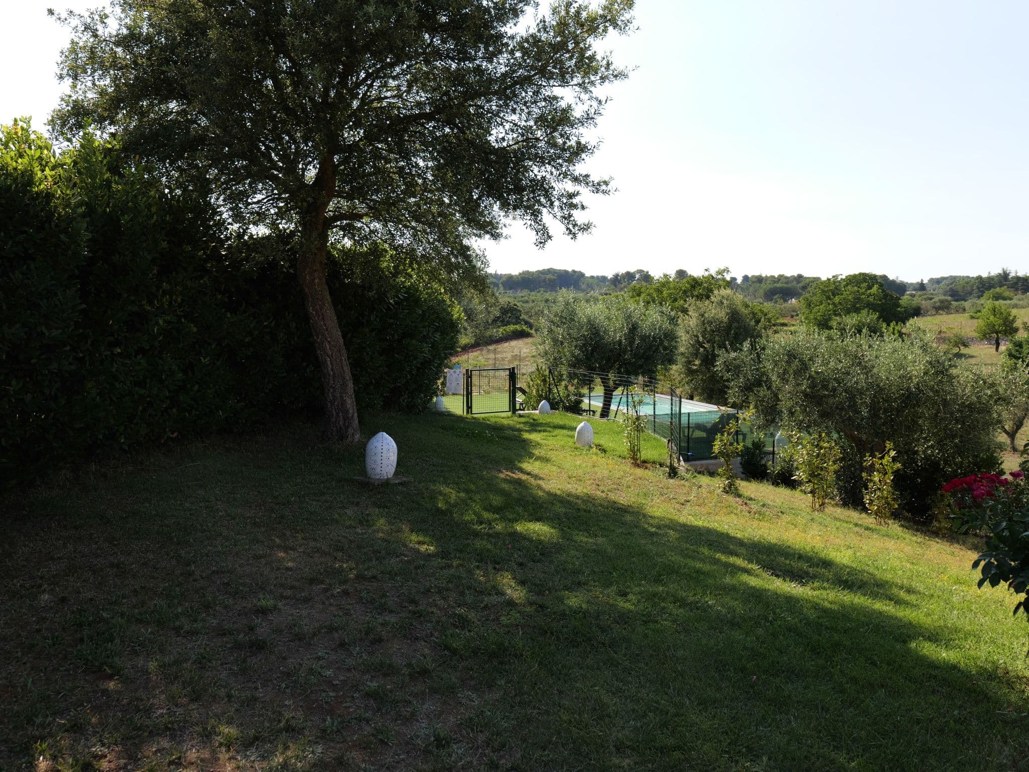 Gallery Image 17