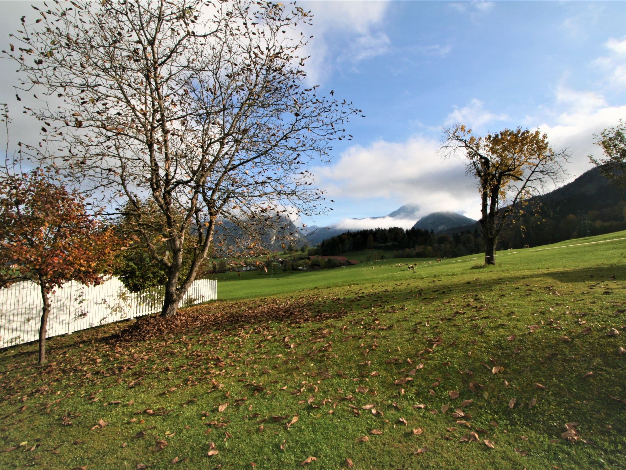 Outdoor