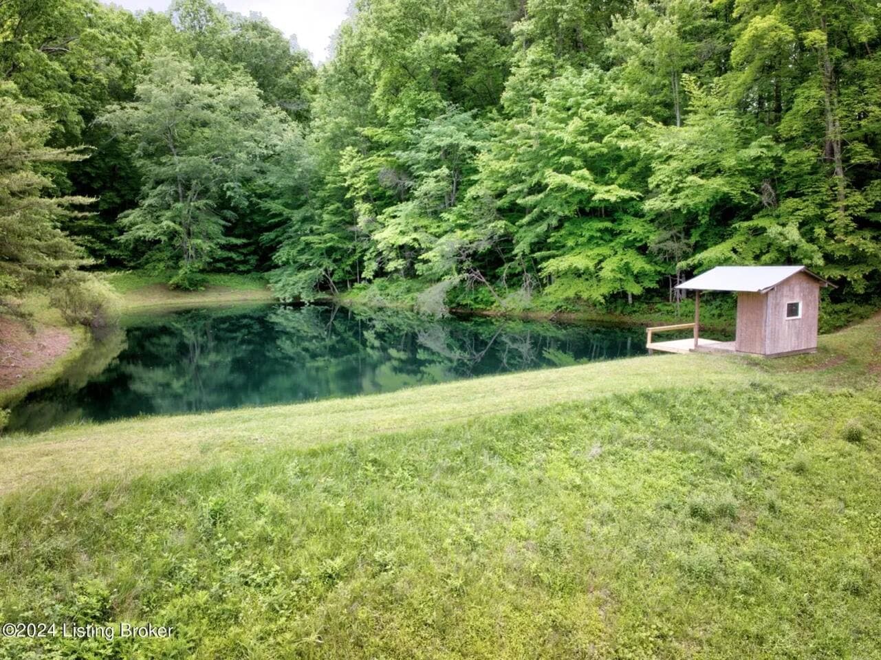 Pond