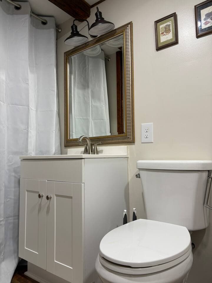 Bathroom Sink& Toilet