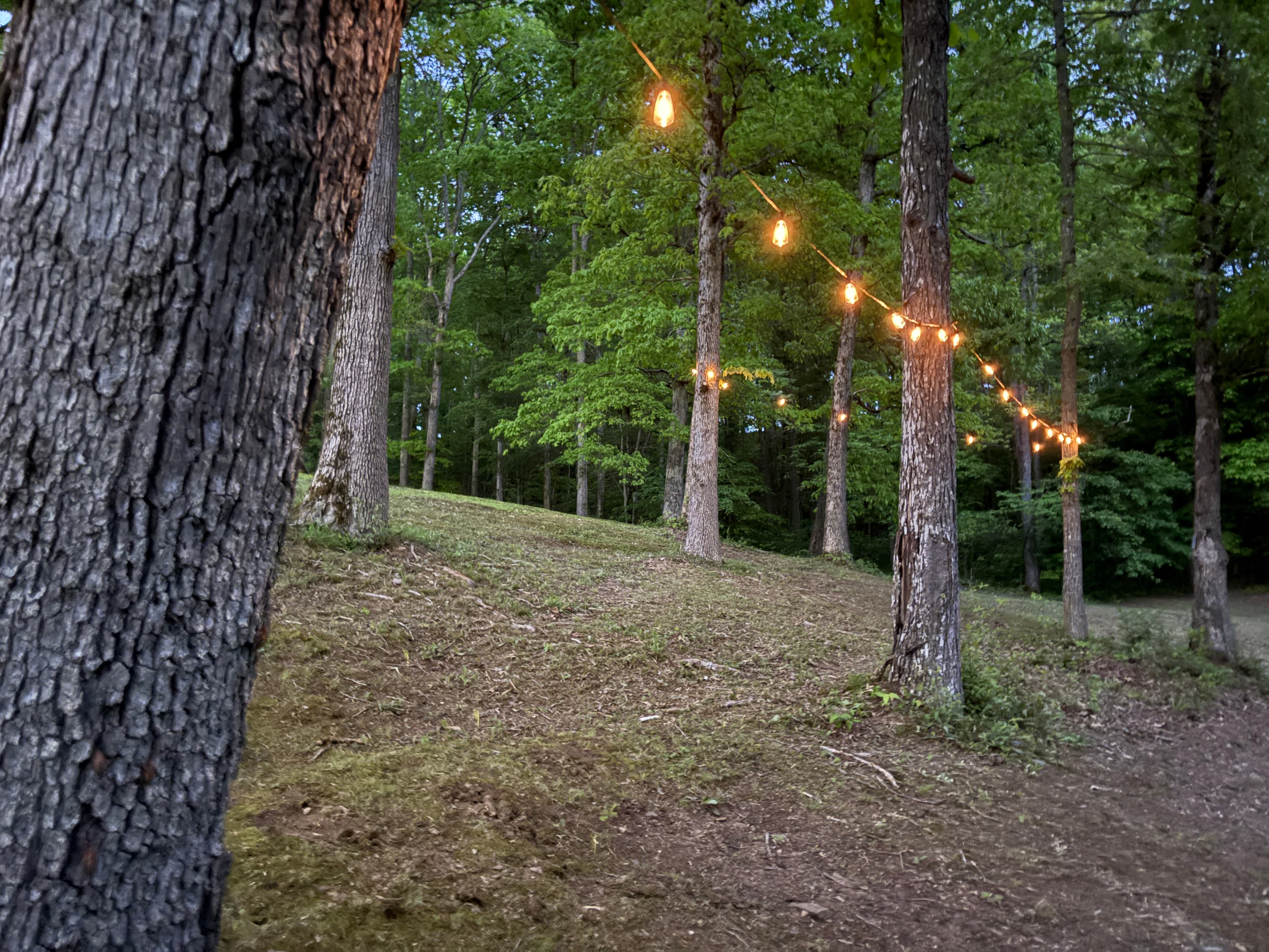 Red River Gorge Cabin Night Lighting
