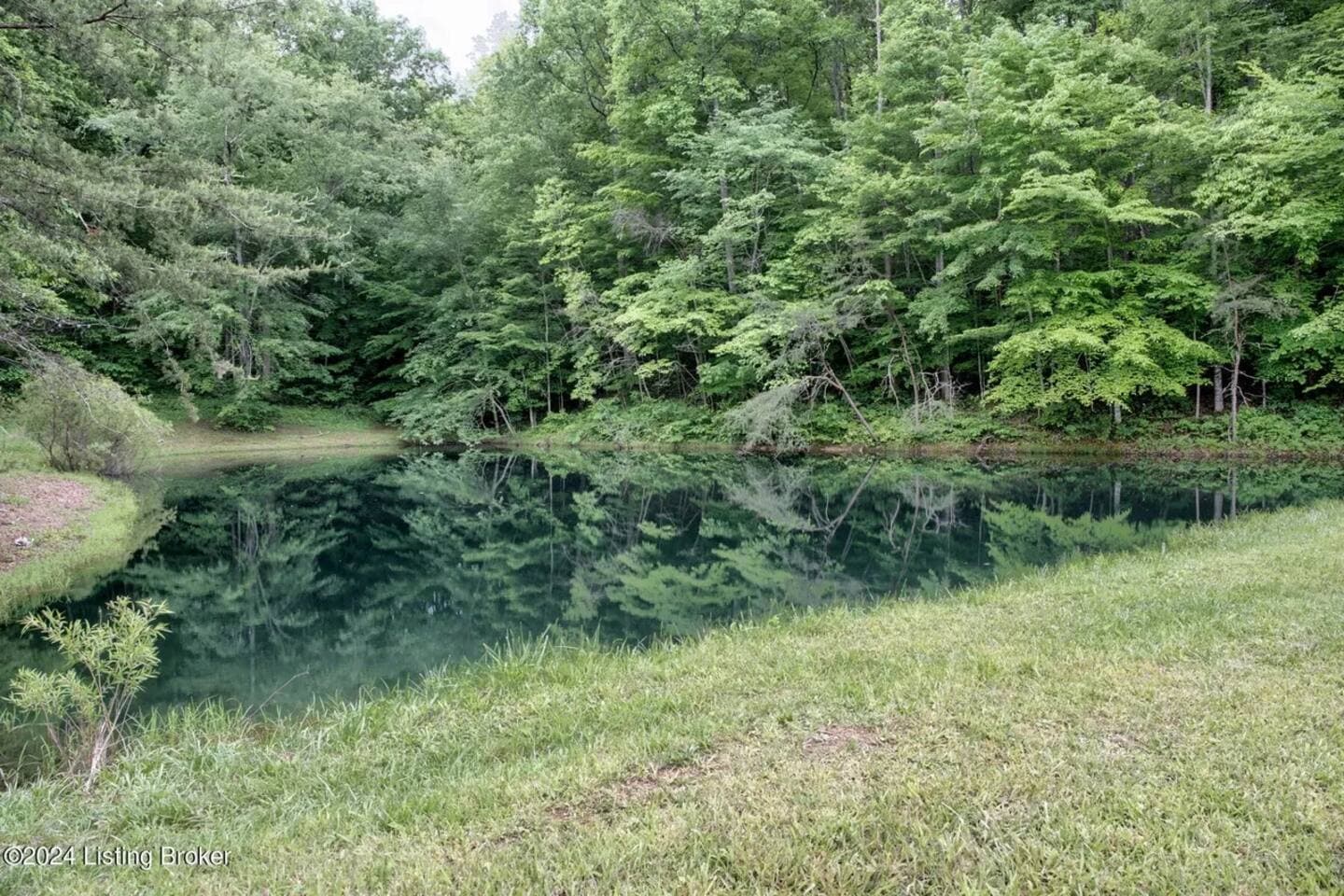Red River Gorge Cabin Pond