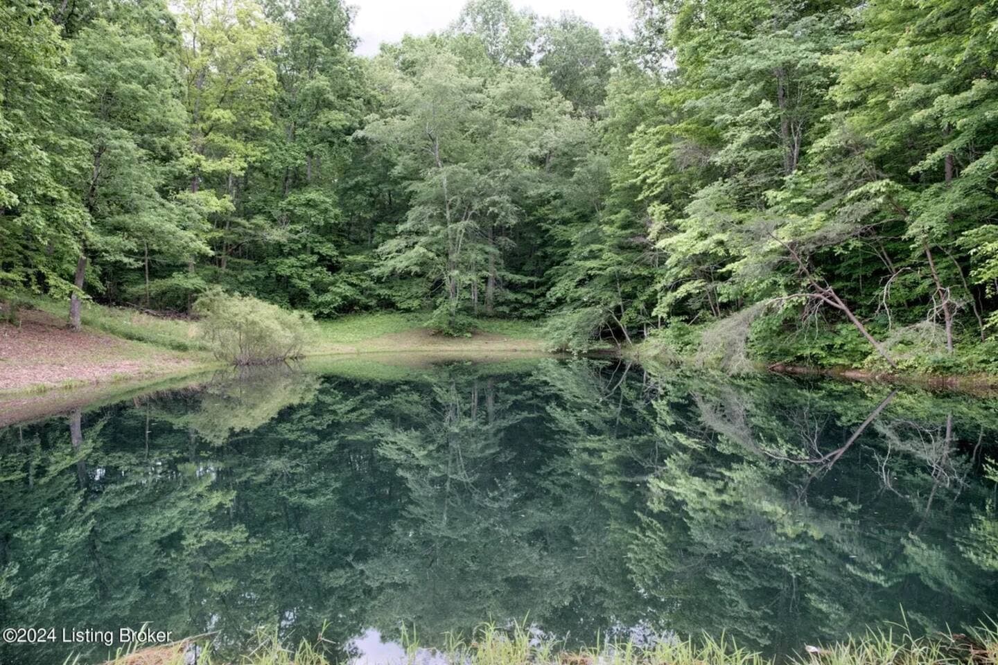 Red River Gorge Kentucky Cabin Pond