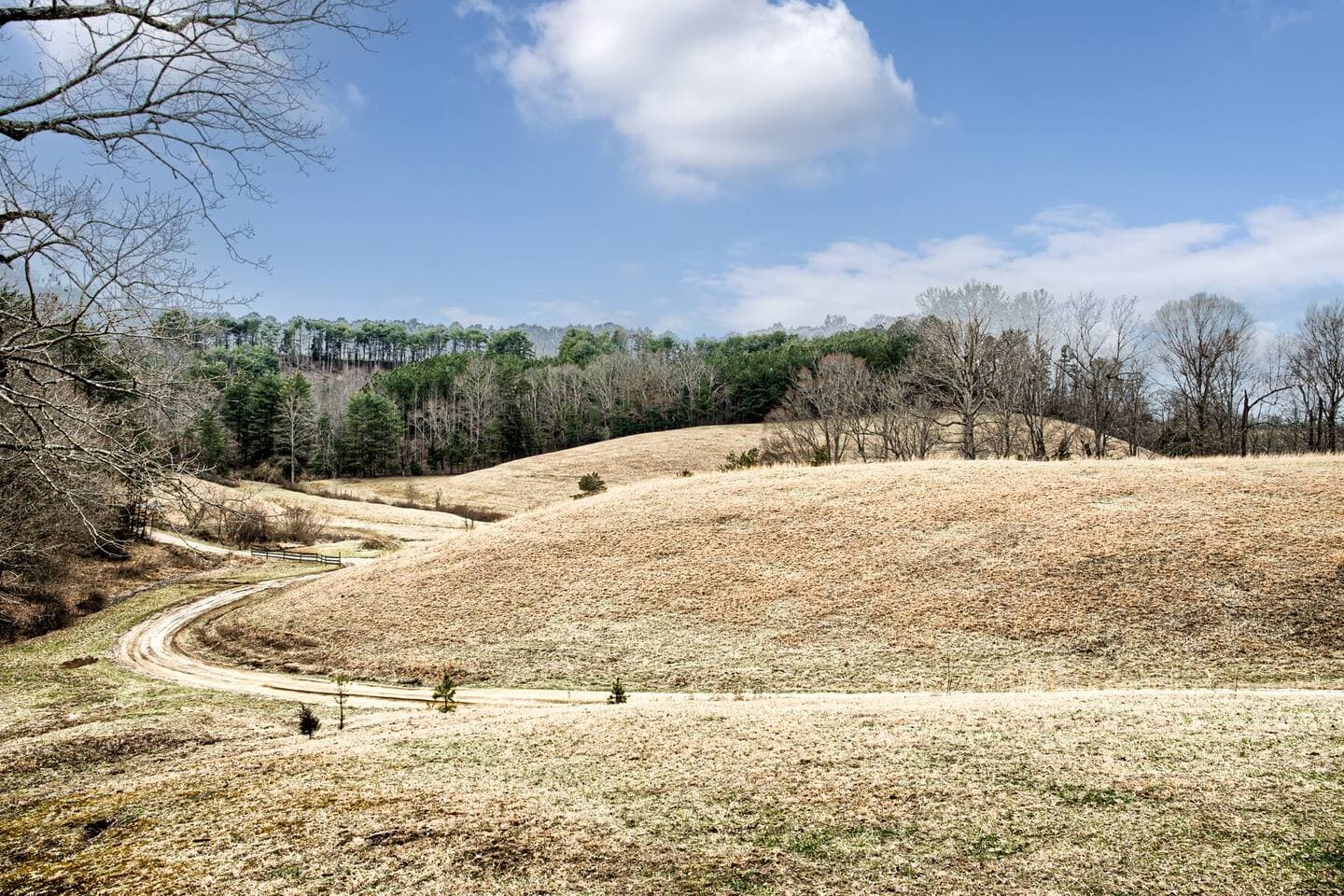 View From Front Porch