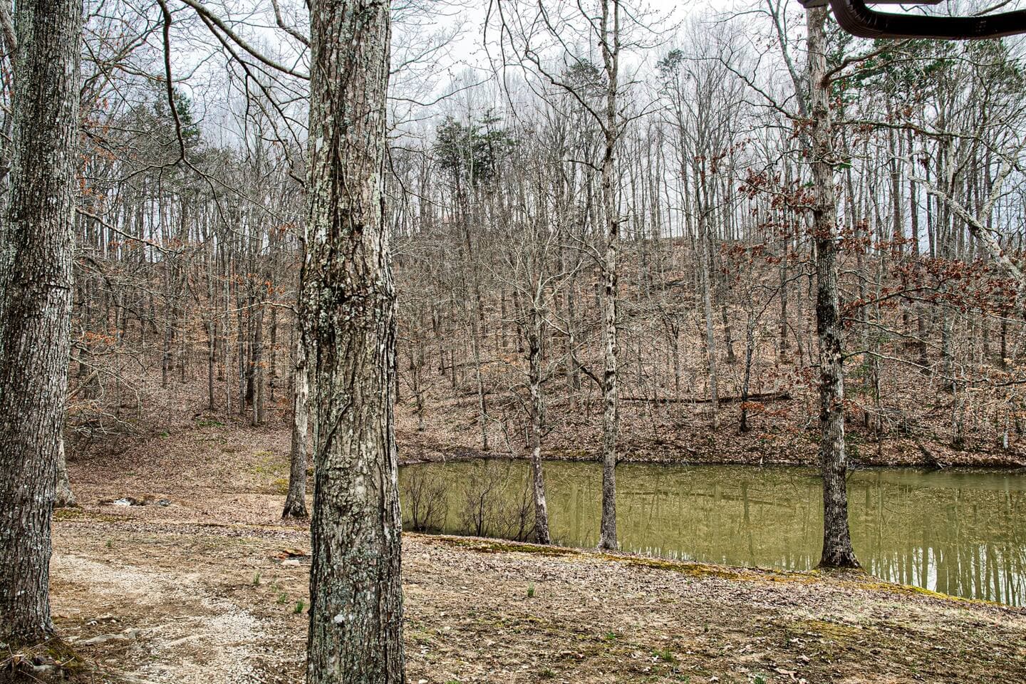 Red River Gorge Cabin Pond