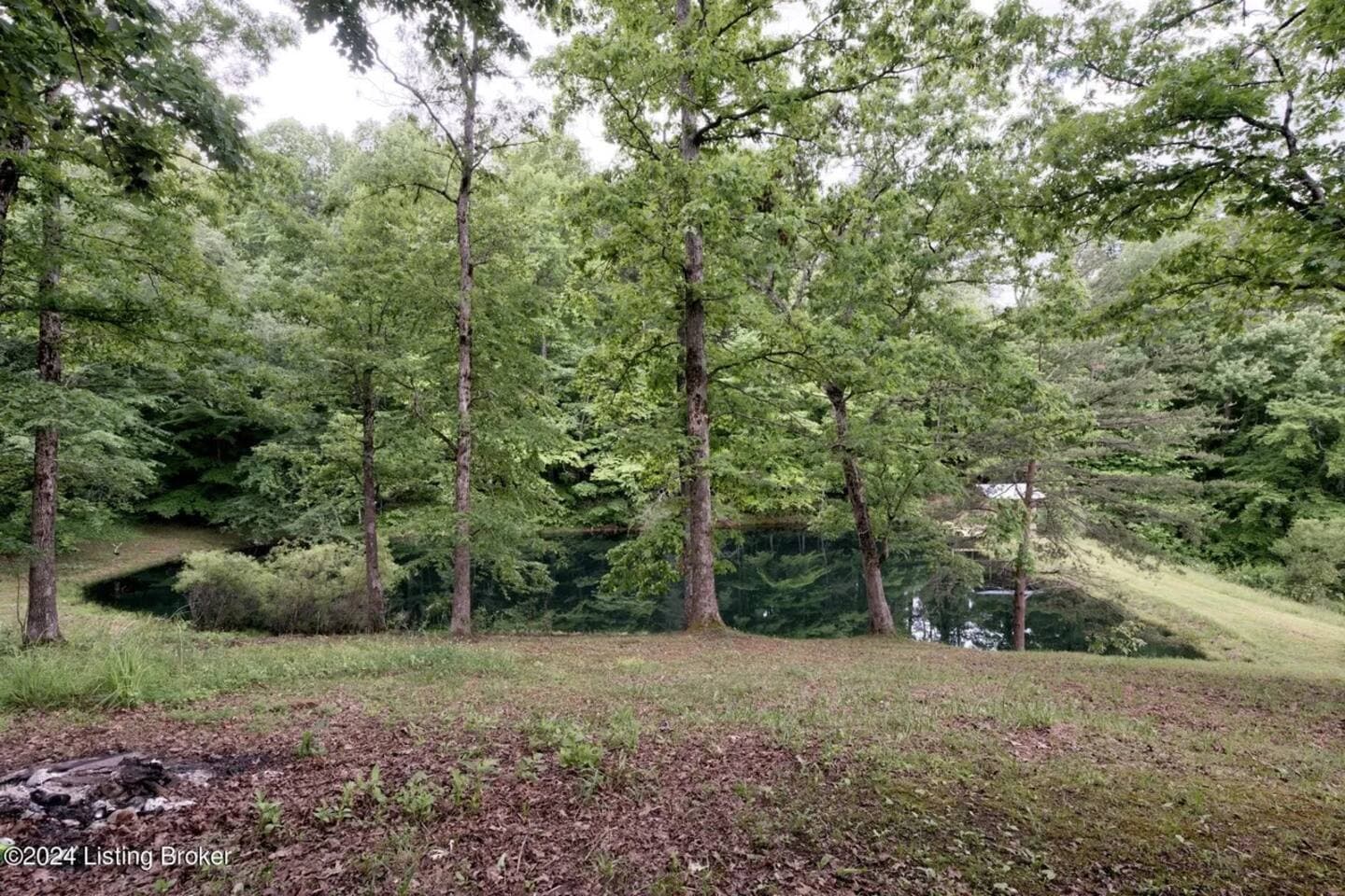 Red River Gorge Cabin Pond
