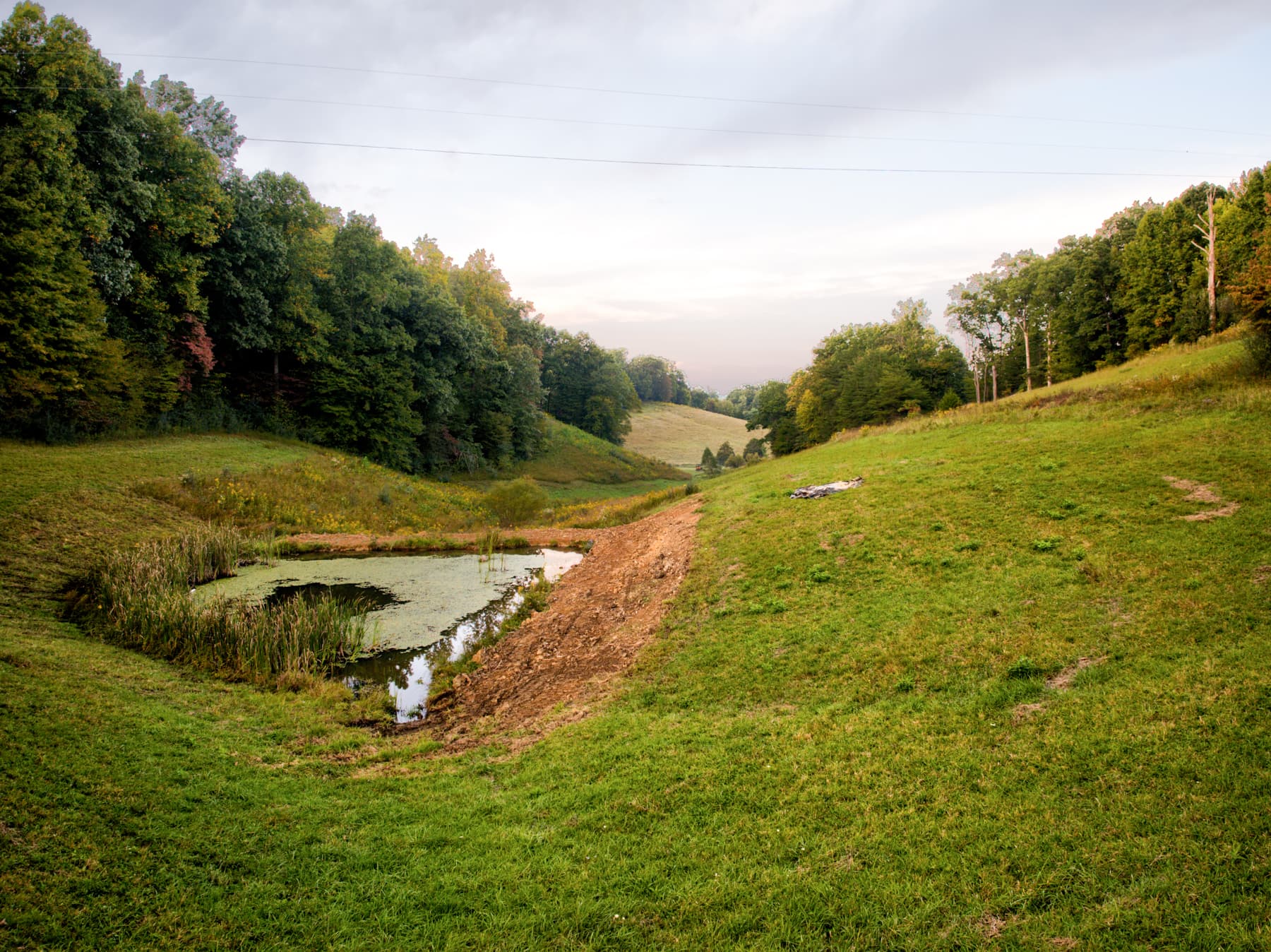 Pond