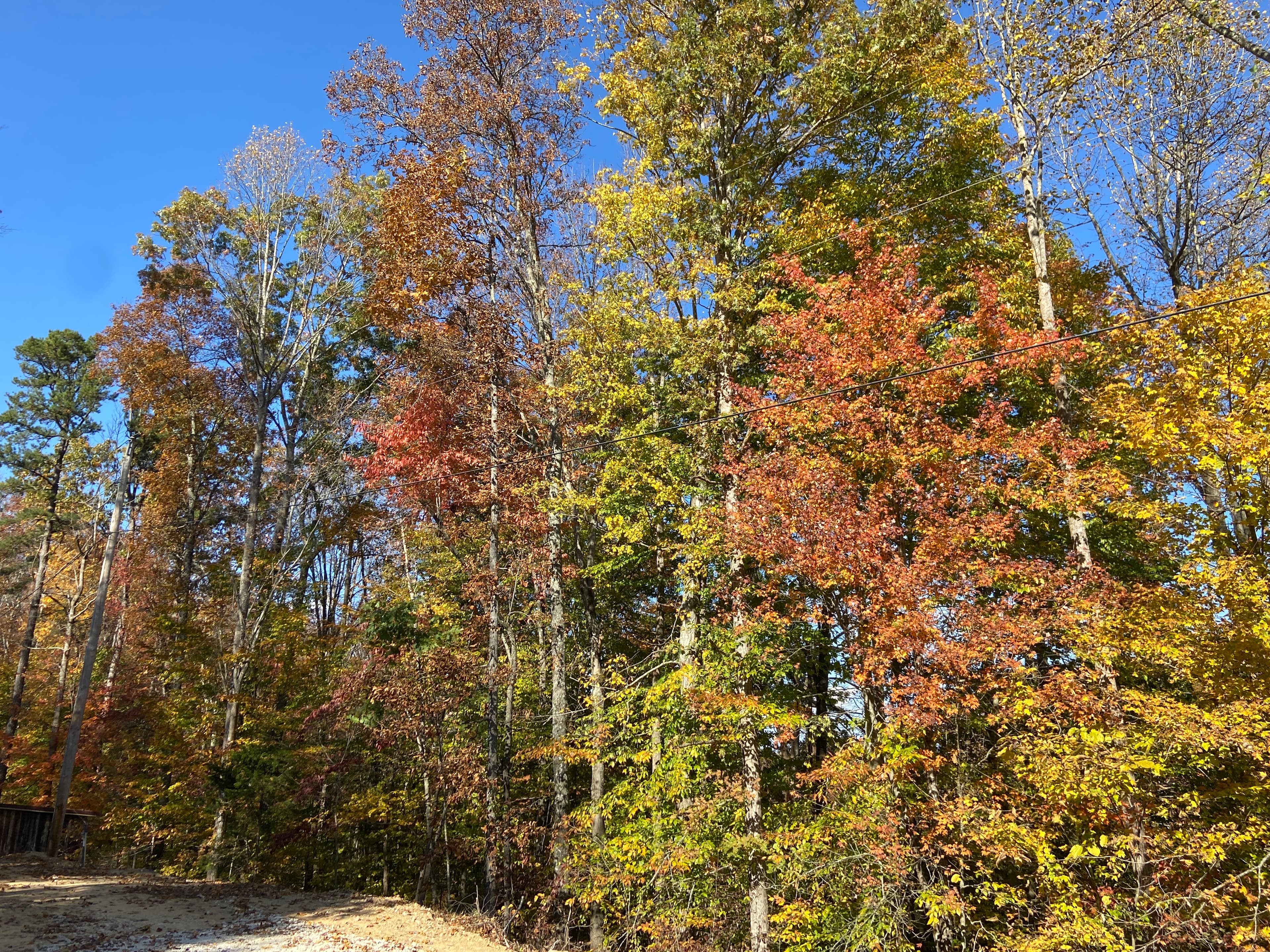 Outside Front Fall Season