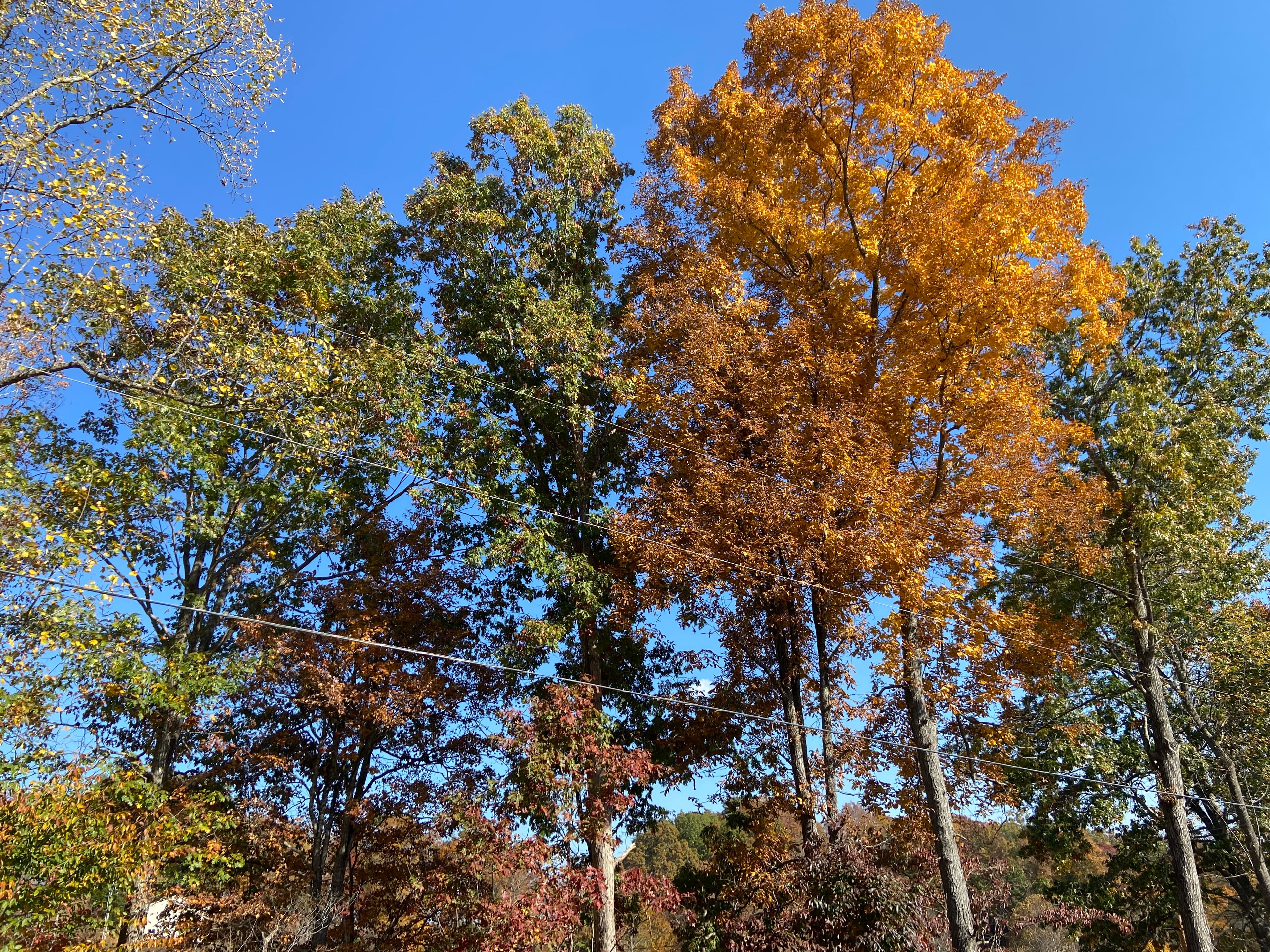Outside Front Fall Season