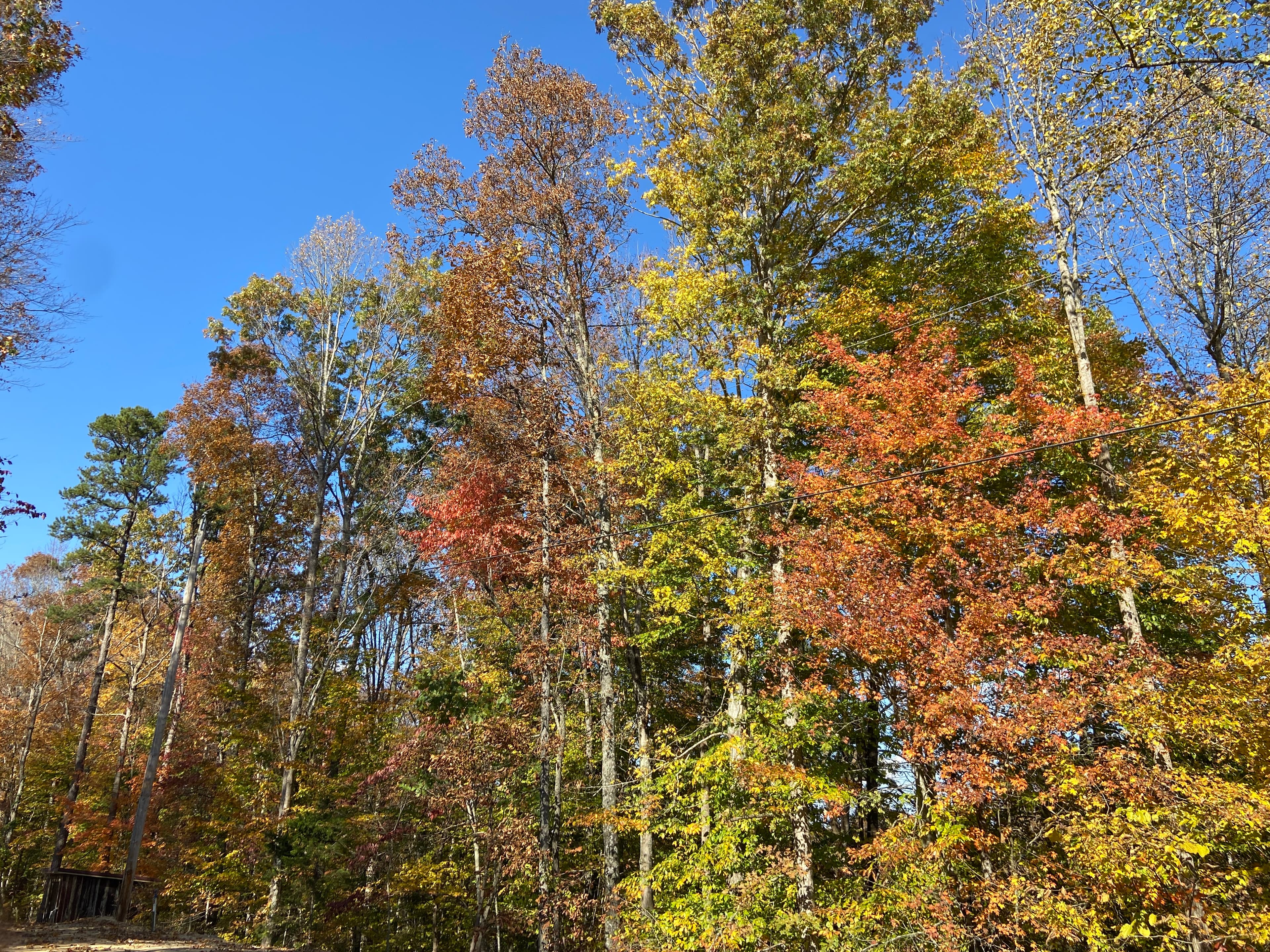 Outside Front Fall Season