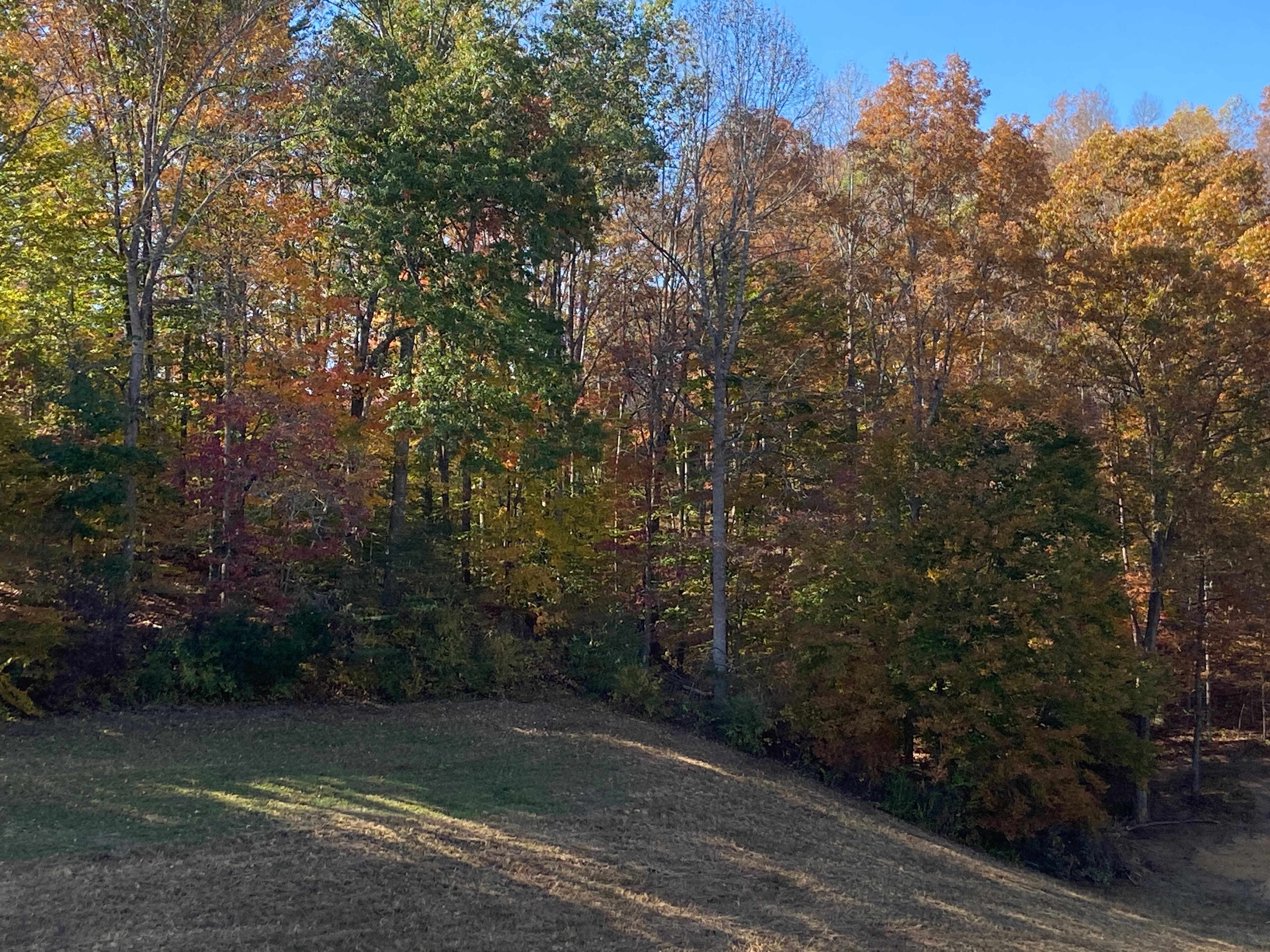 Outside Front Fall Season