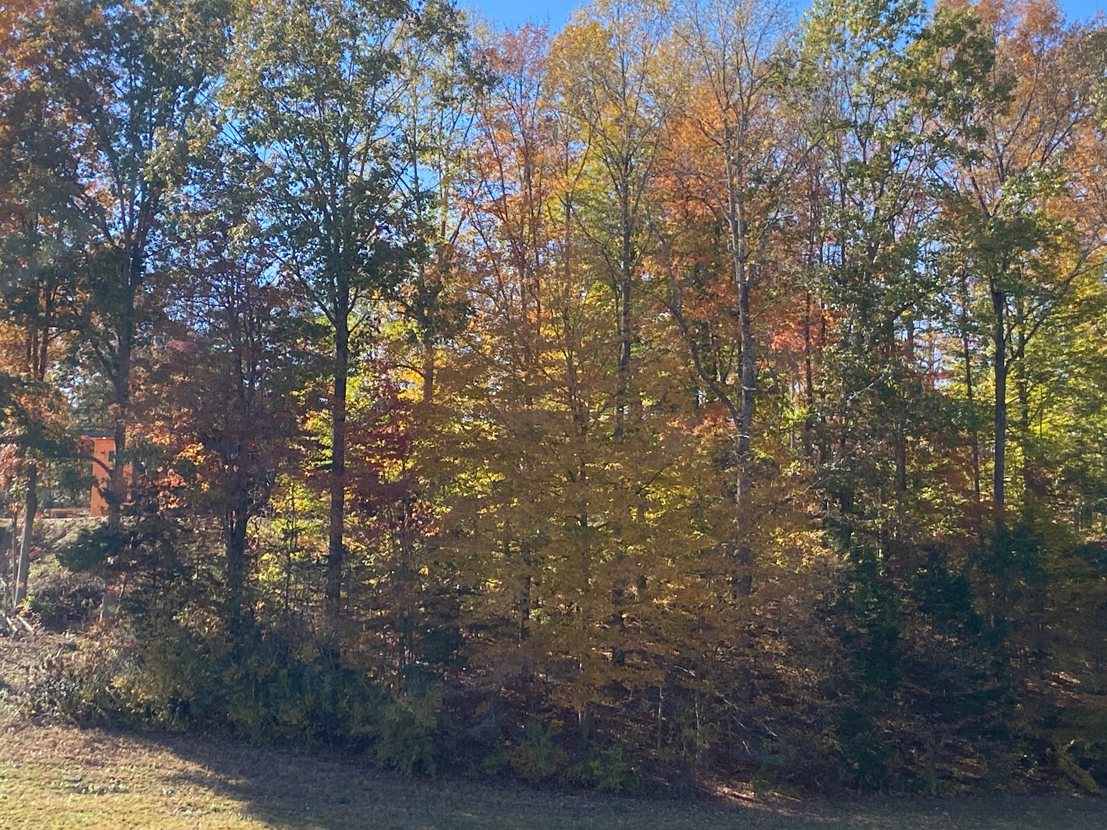 Outside Front Fall Season