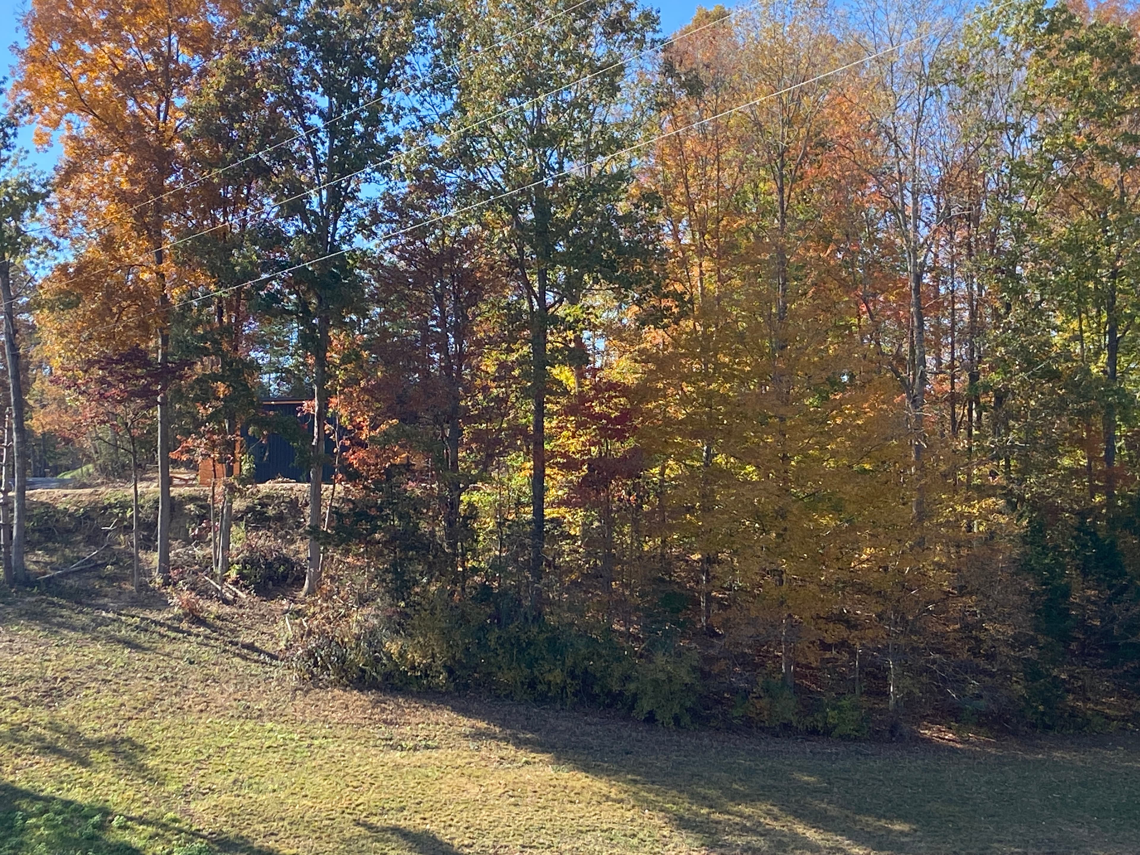 Outside Front Fall Season