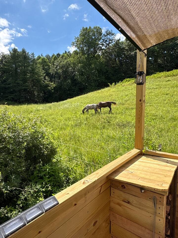 Hot Tub View