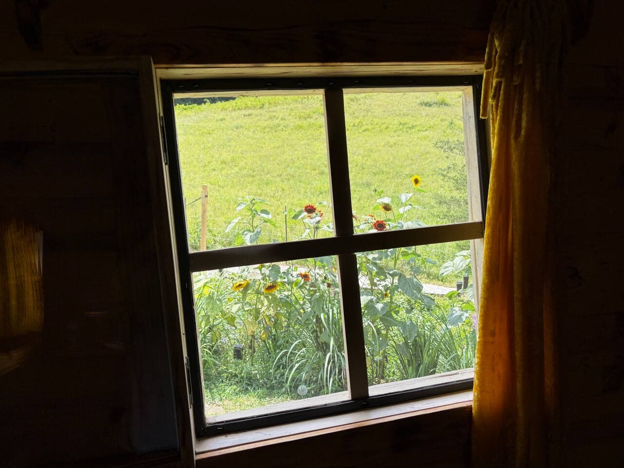 Looking out window into garden