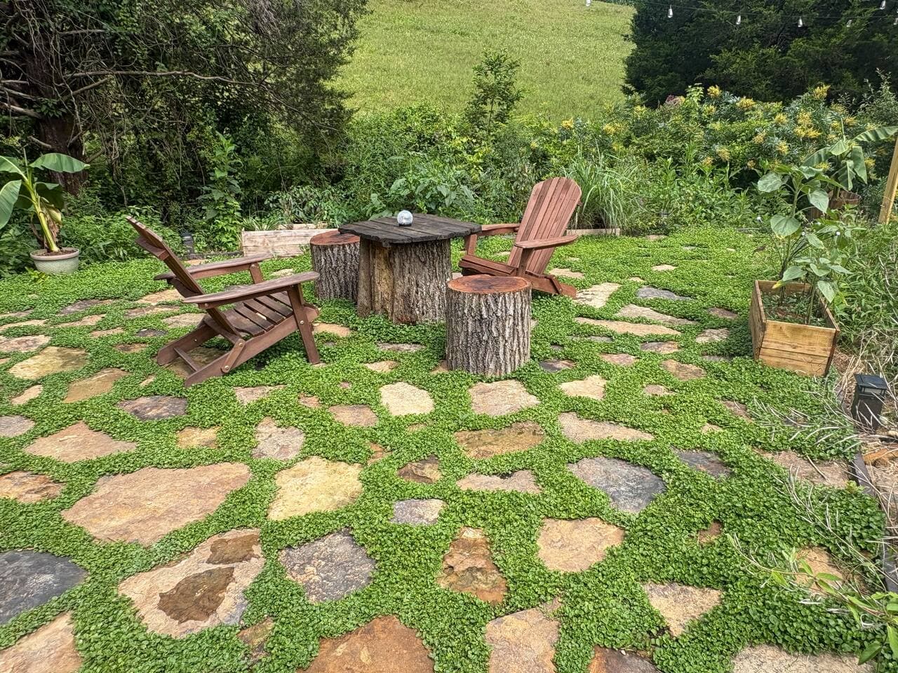 Back Patio Area