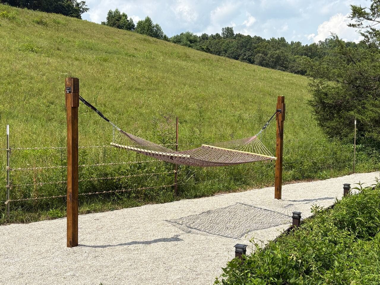Hammock