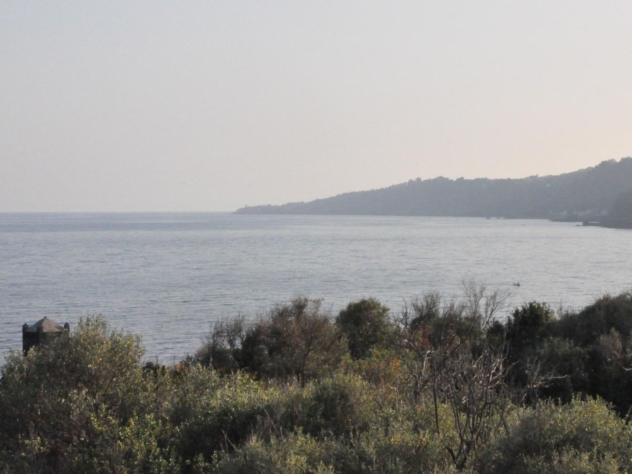 View