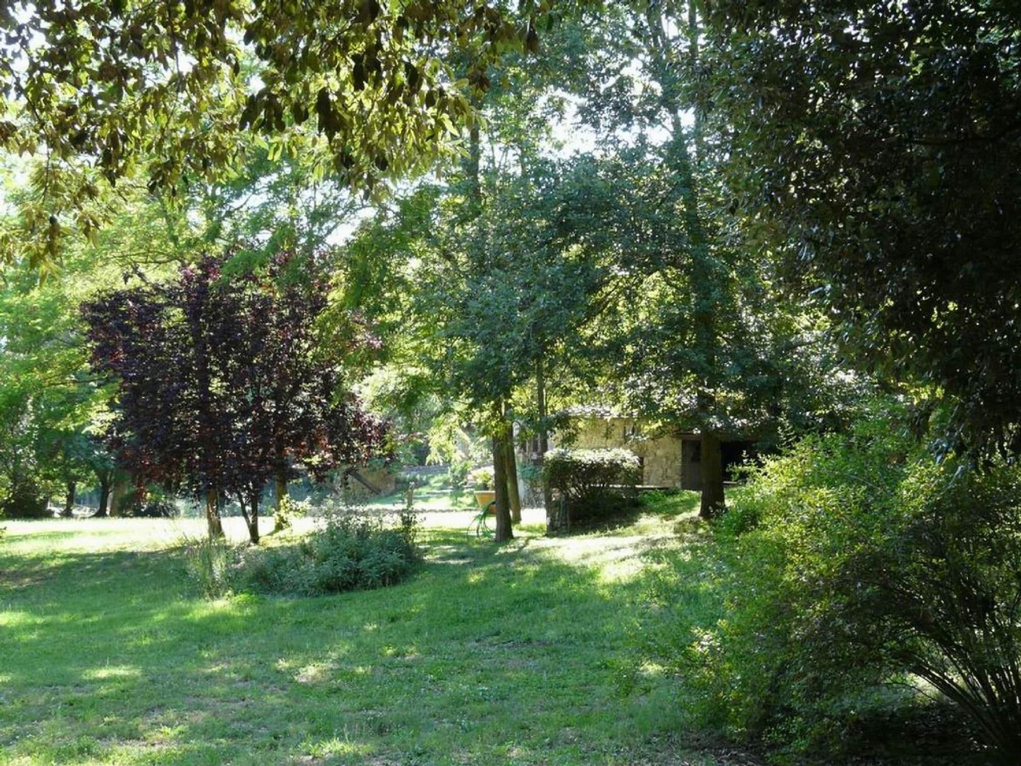 Gallery Image 26