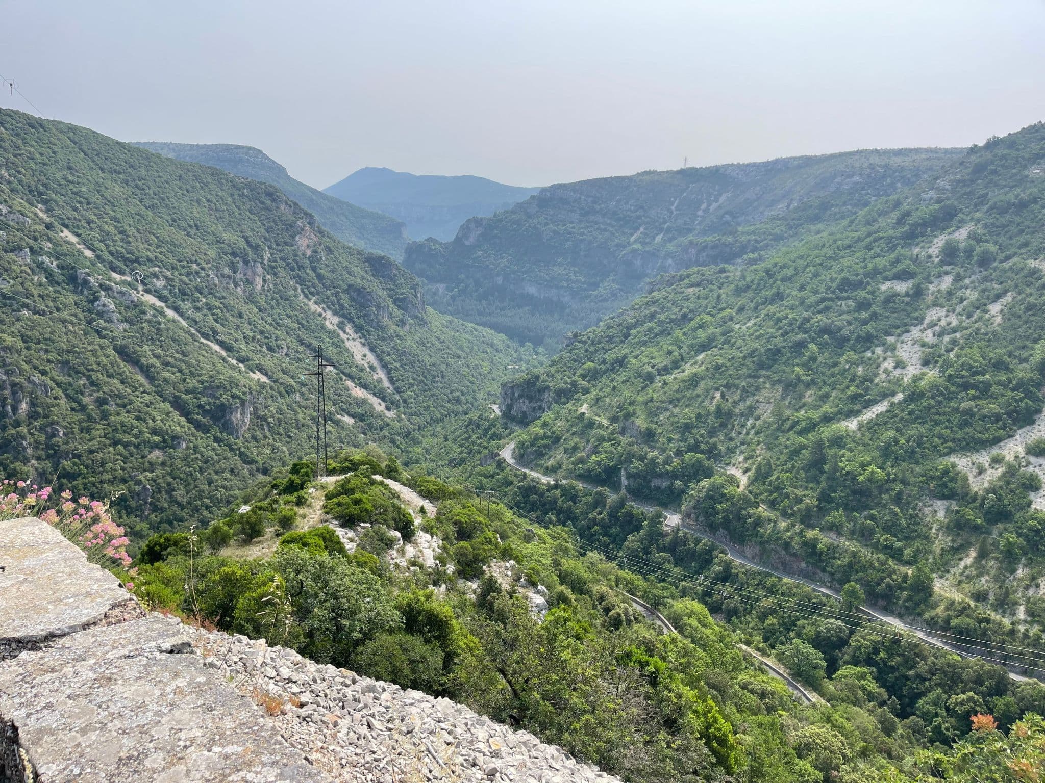 View