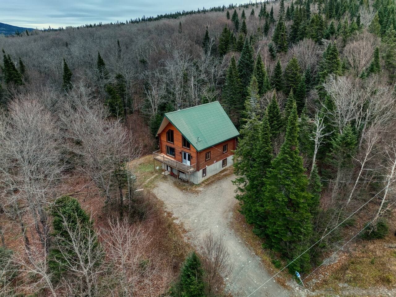 Gallery Image 4