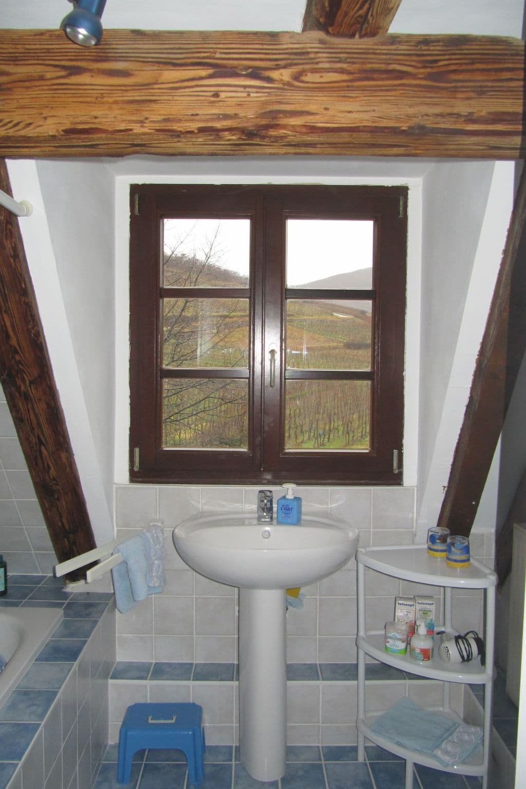 Gallery Image 11
