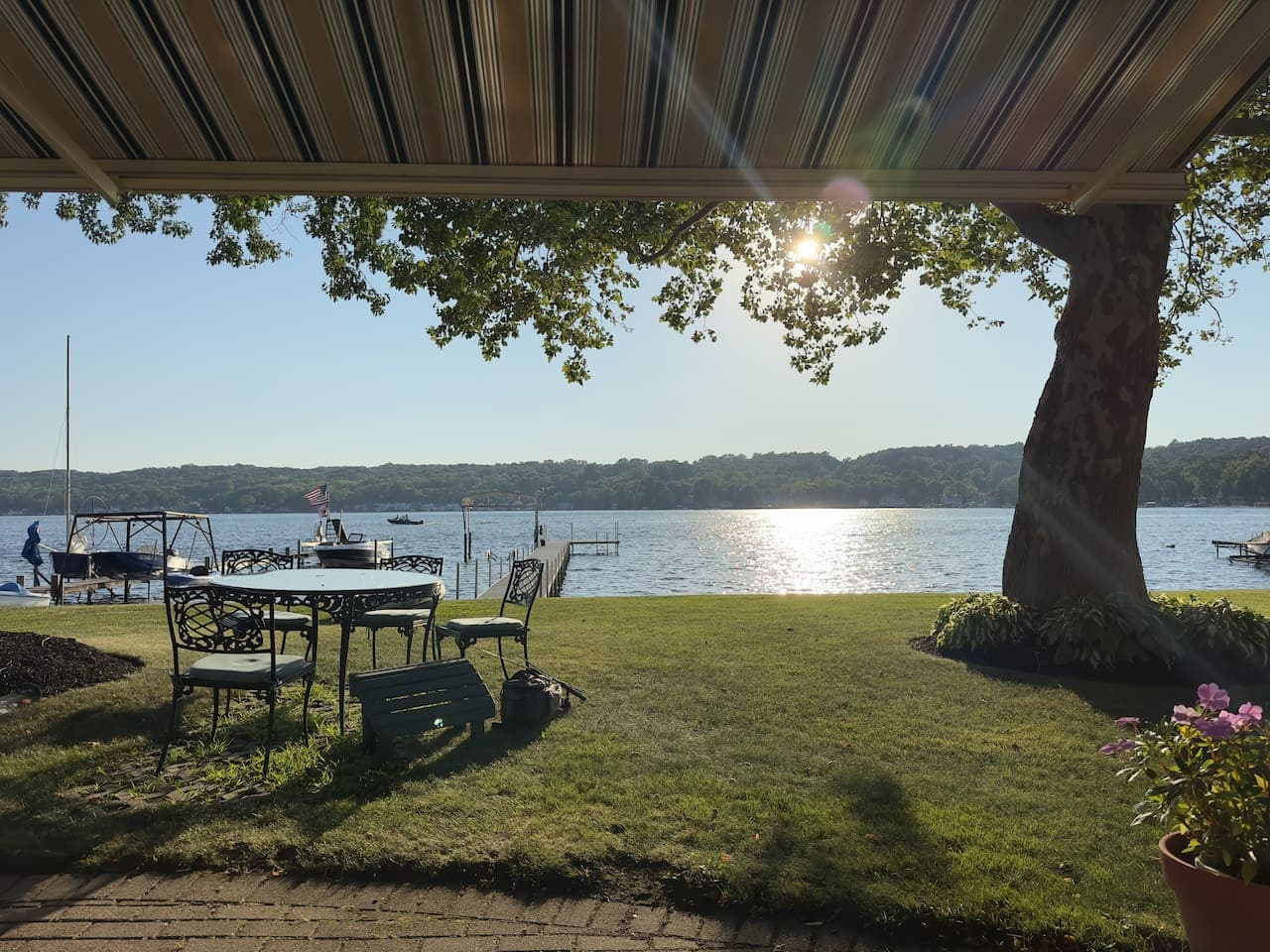Outdoor dining beneath a mature tree
