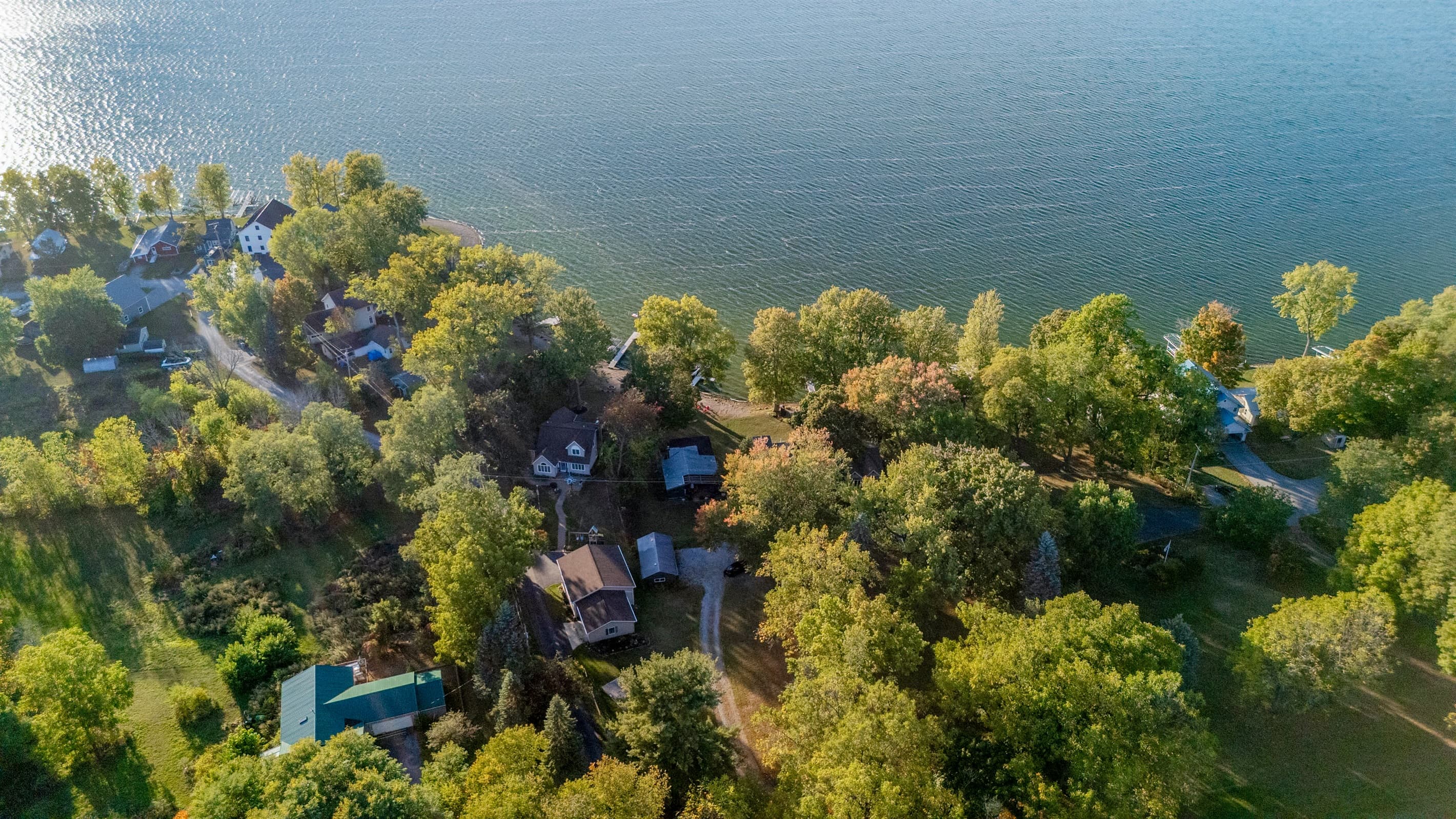 Tree-lined shoreline along the lake