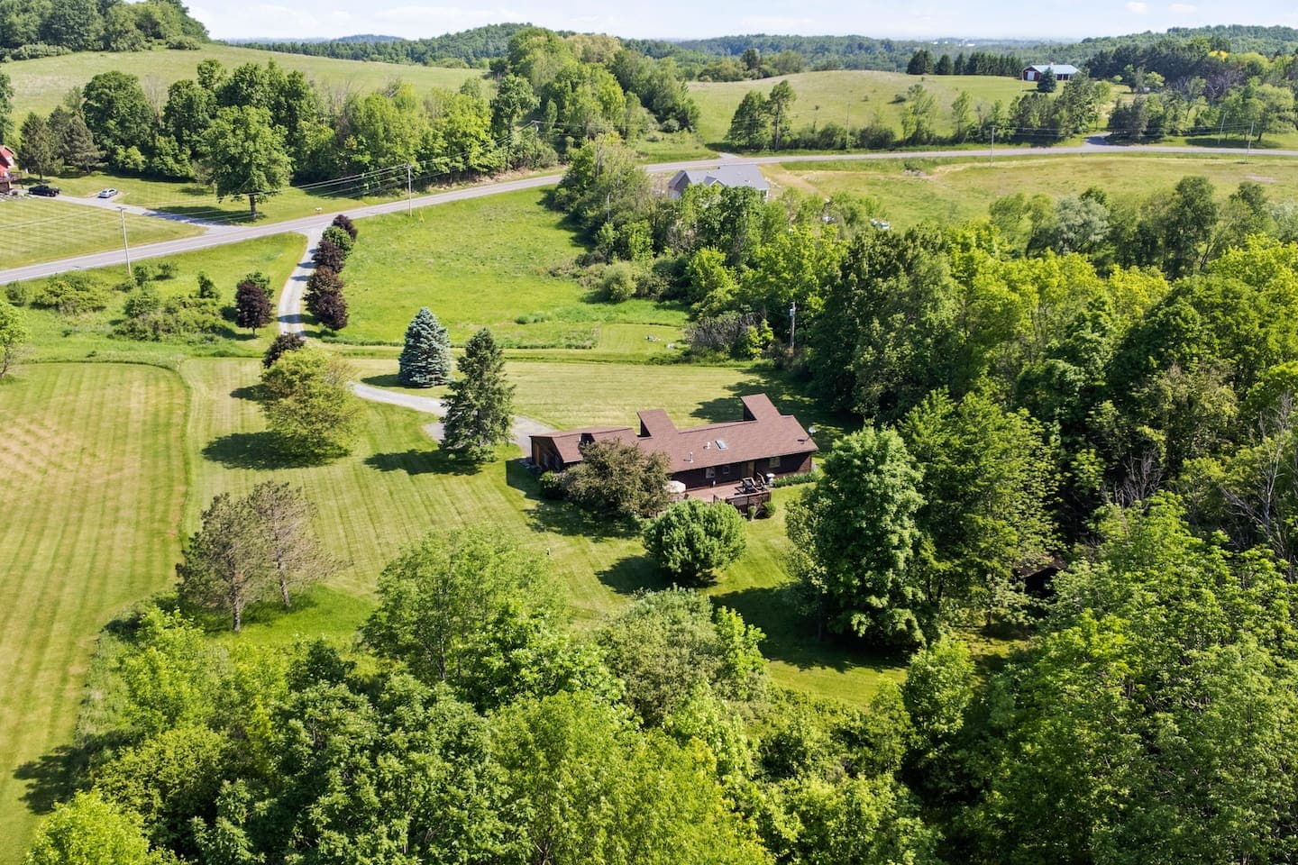 Aerial view of fields and tree-lined driveway