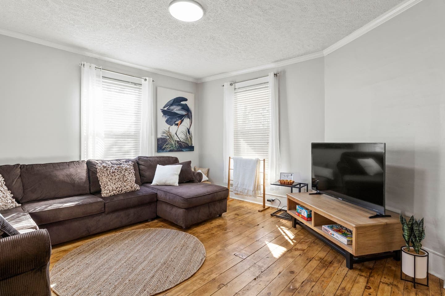 Television area with wood media console