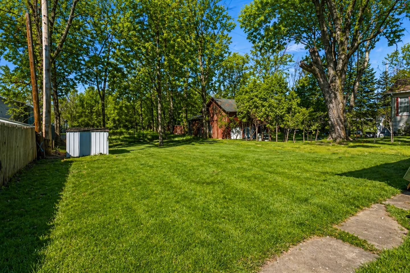 Open backyard bordered by trees