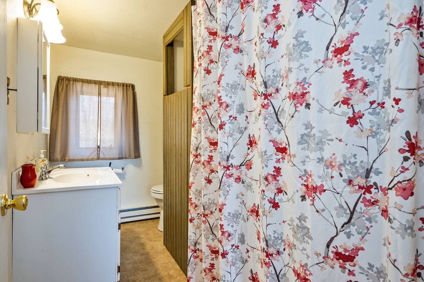Bathroom with vanity and shower
