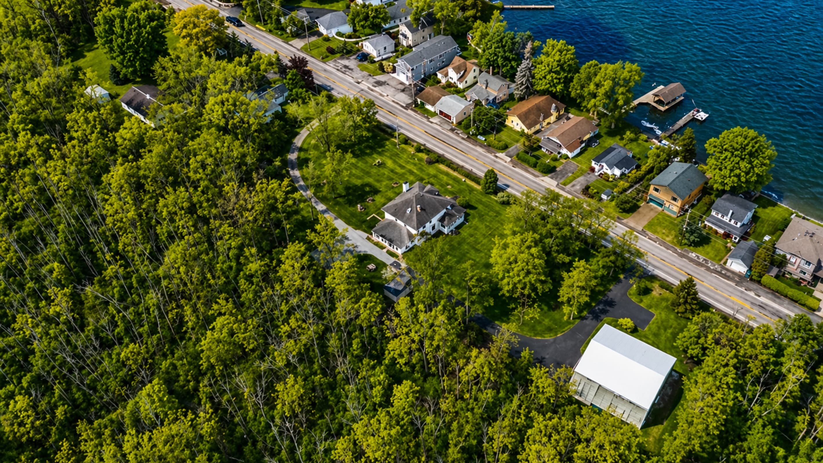 Wooded neighborhood viewed from above