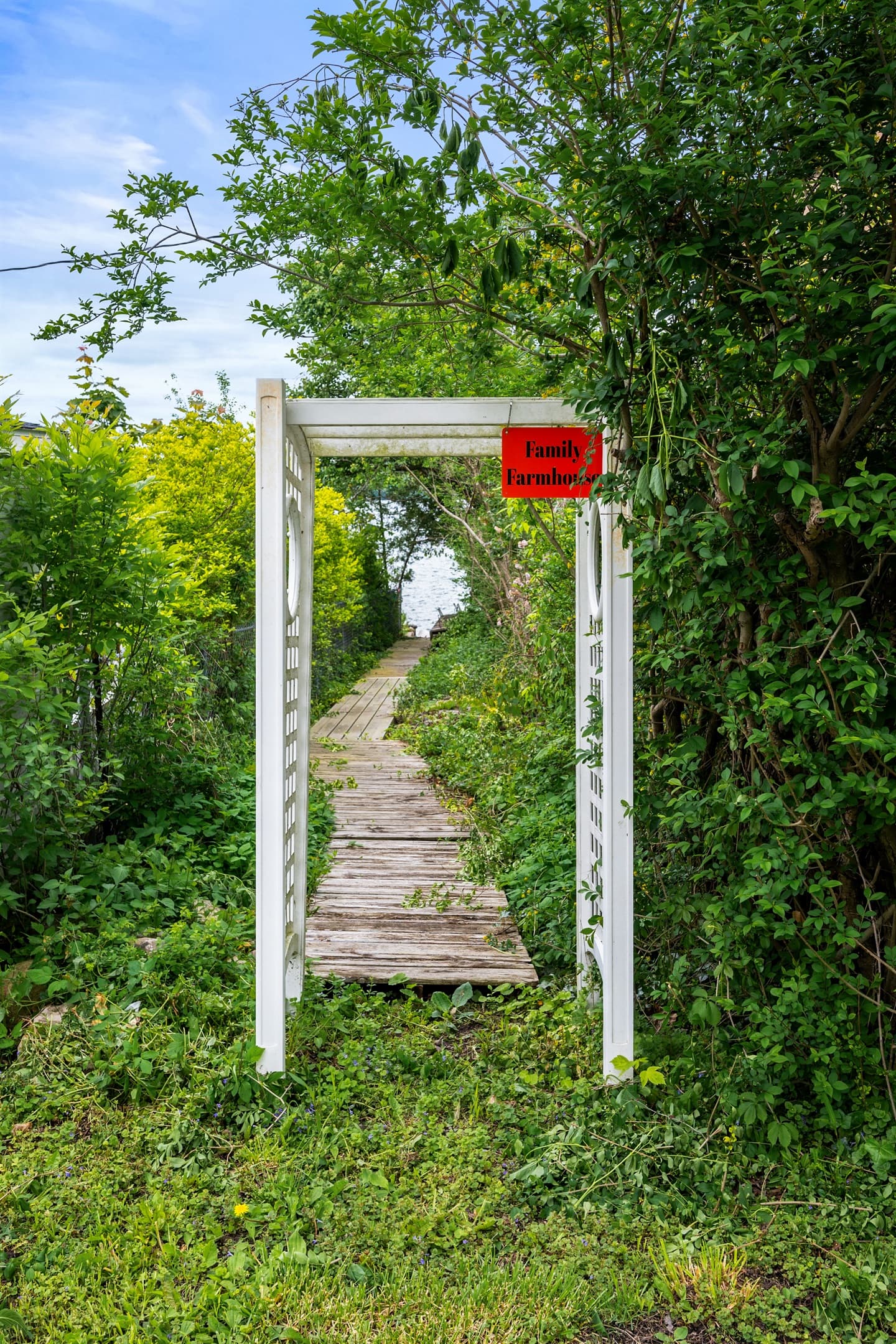 Wooden pathway surrounded by trees