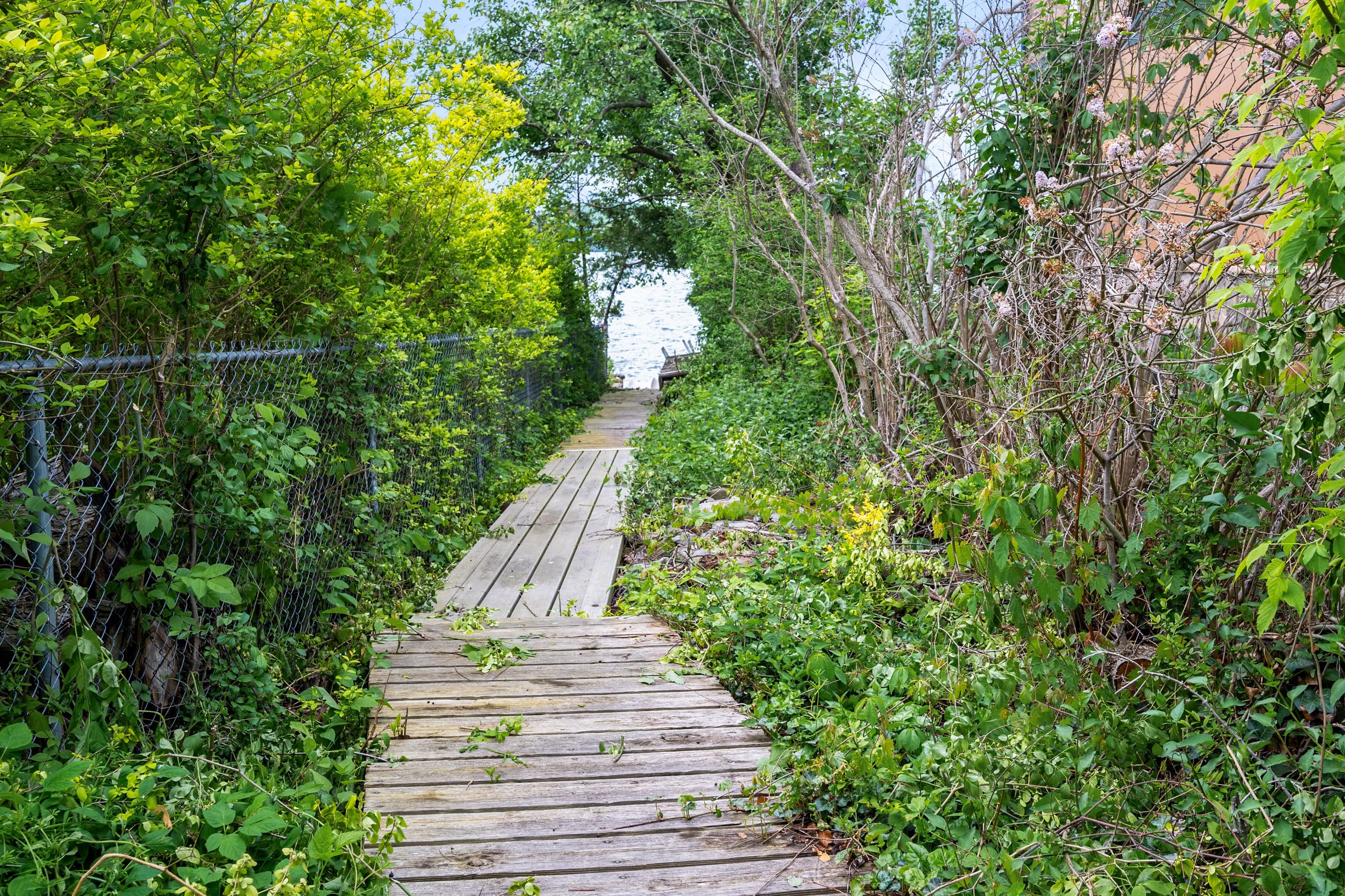 Wooden pathway flowing through wooded grounds