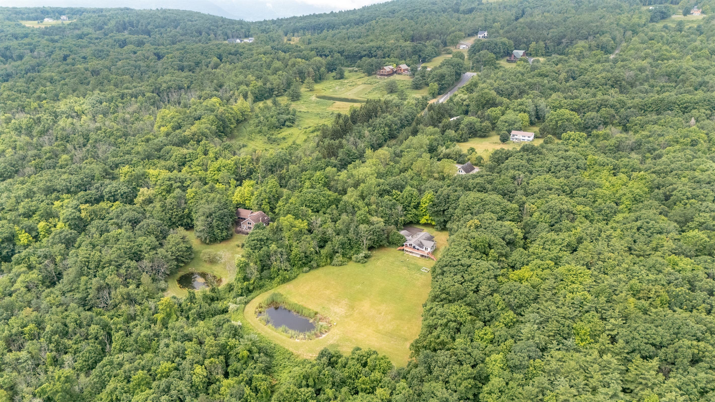 Property positioned within dense tree cover