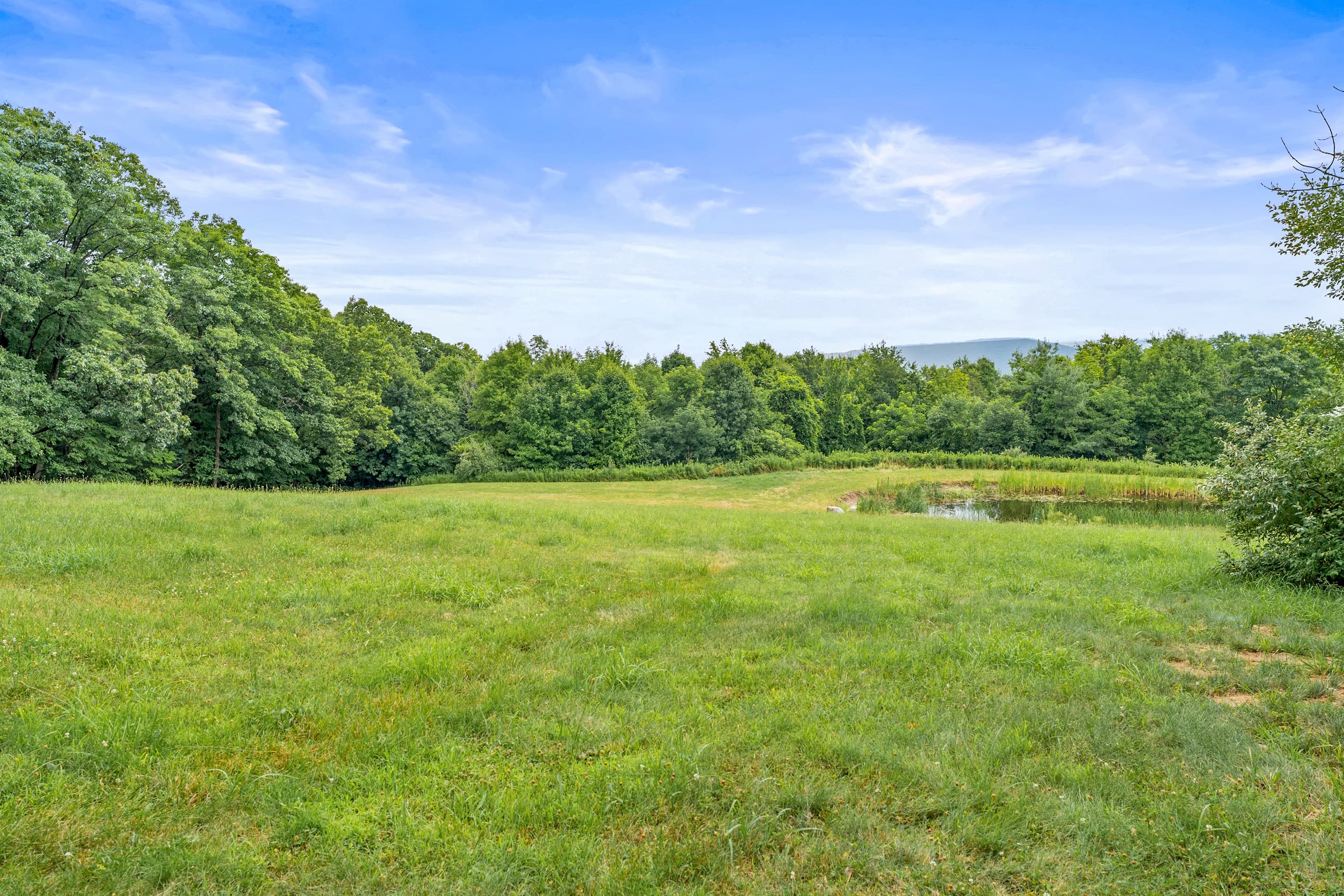 Wide grassy field beneath blue sky