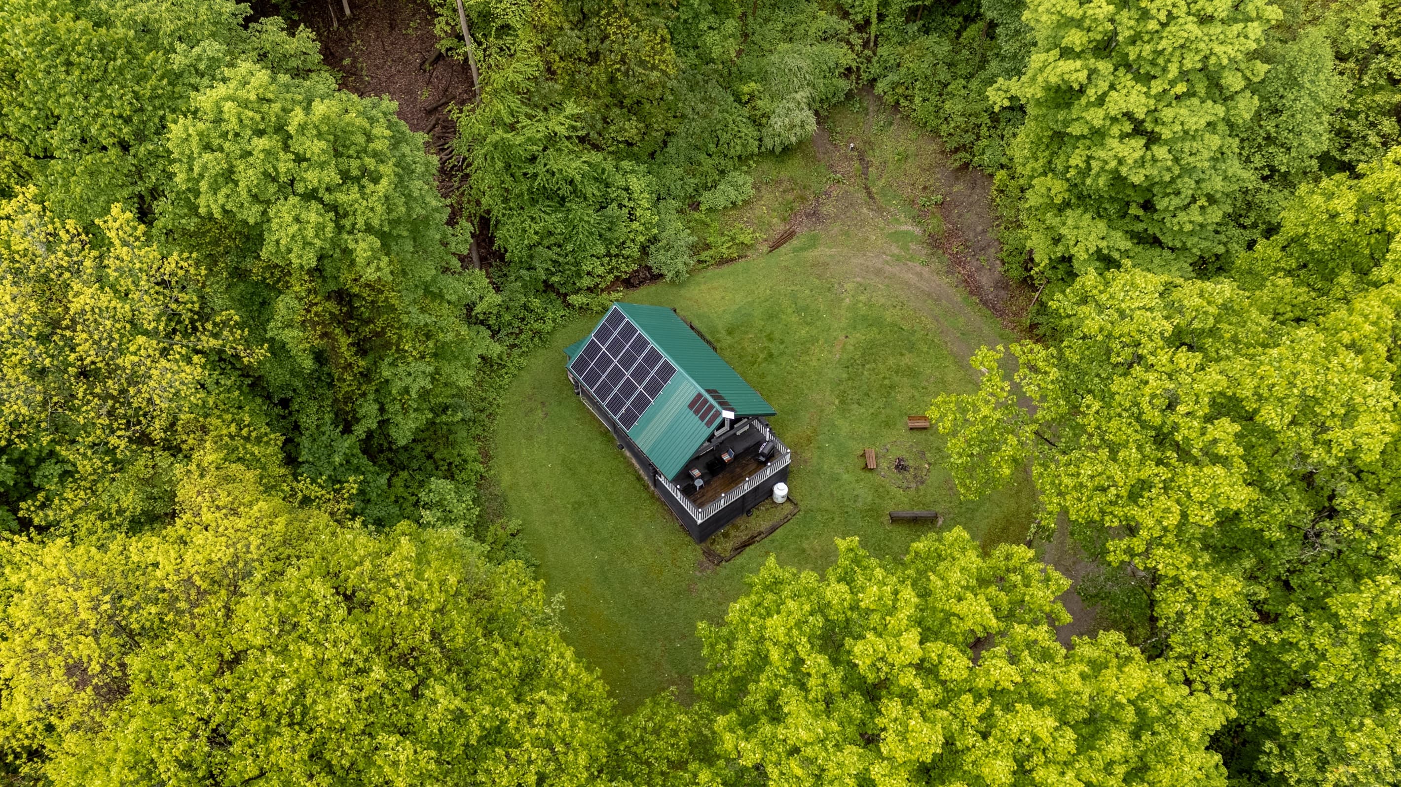 Cabin surrounded by dense forest