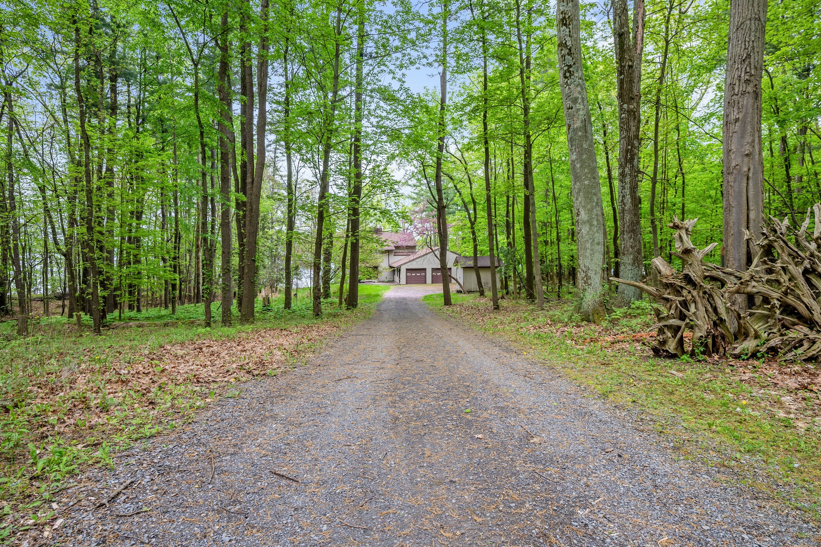 Wooded driveway leading to the home