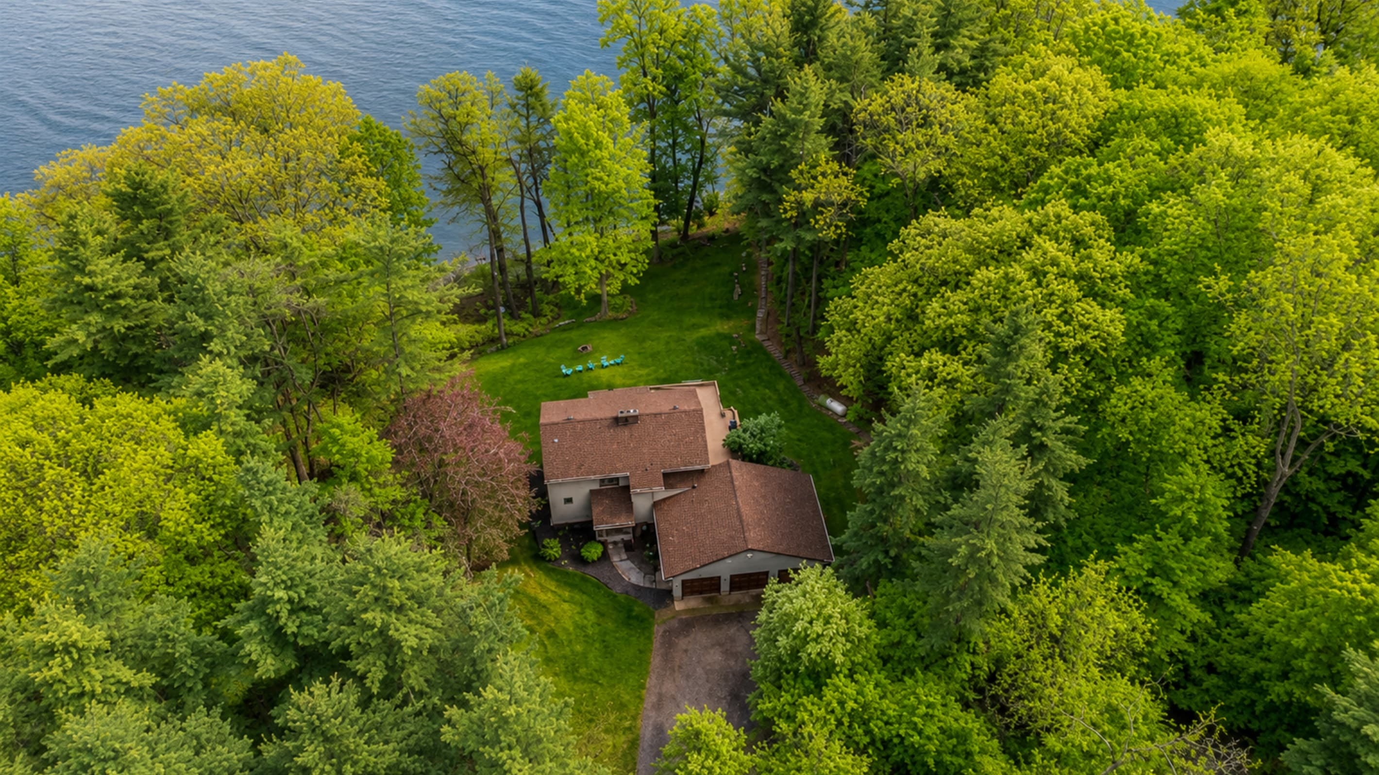 Home surrounded by dense green forest