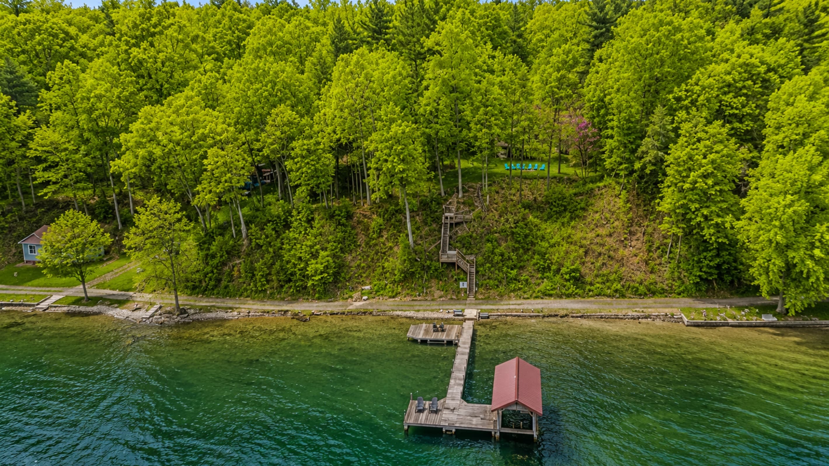 Aerial view of the wooded shoreline