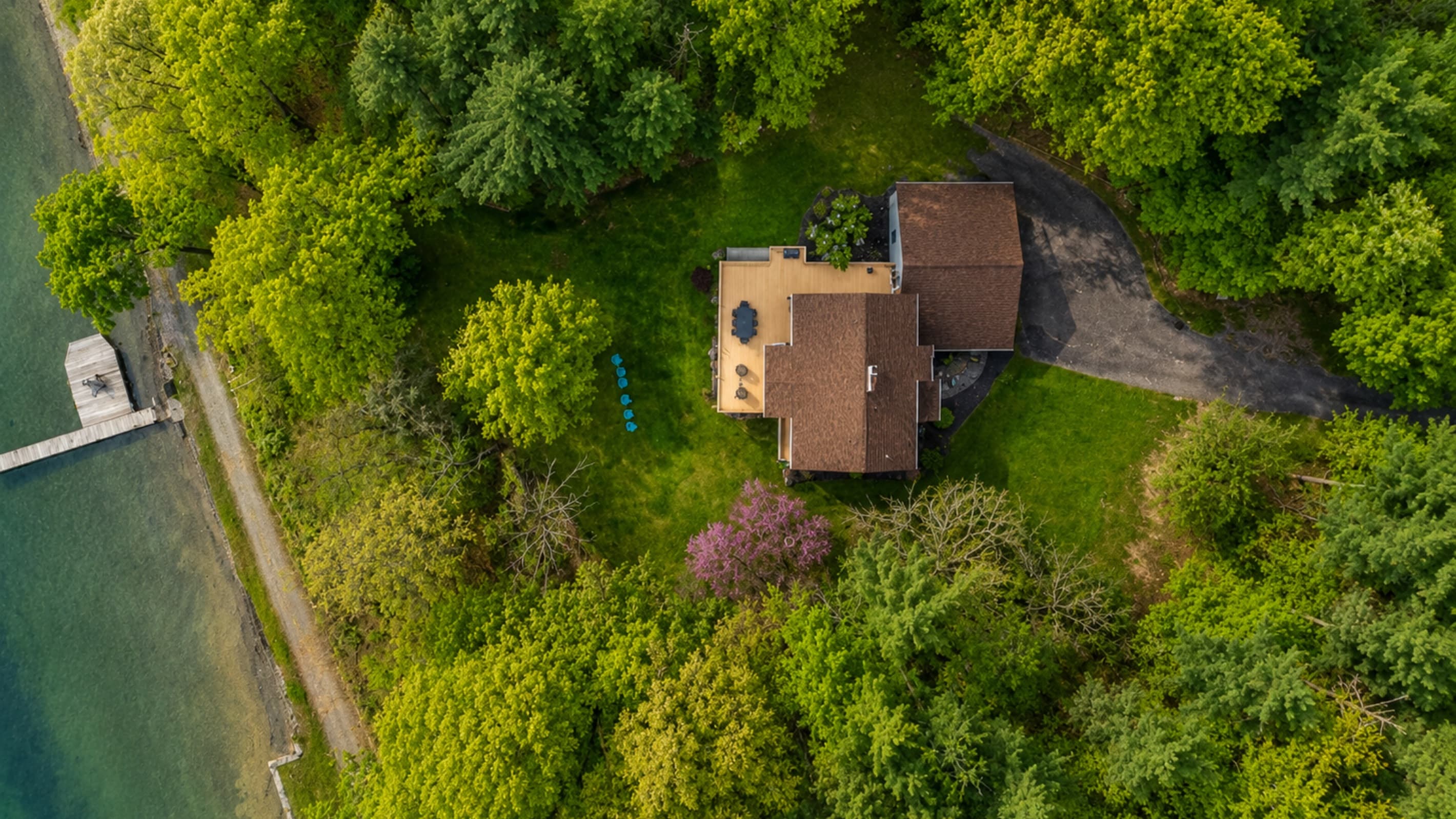 Tree-covered property viewed from above