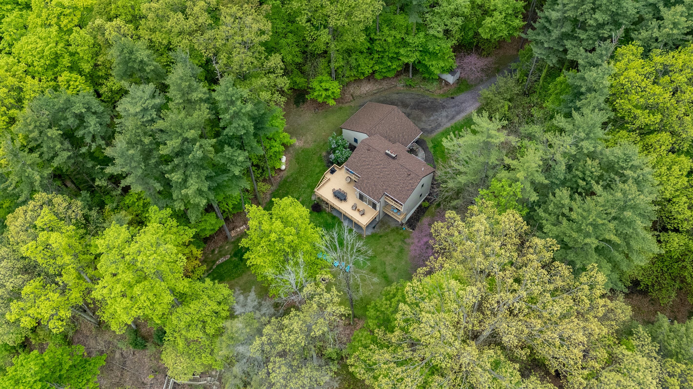 Overhead view of the home among trees