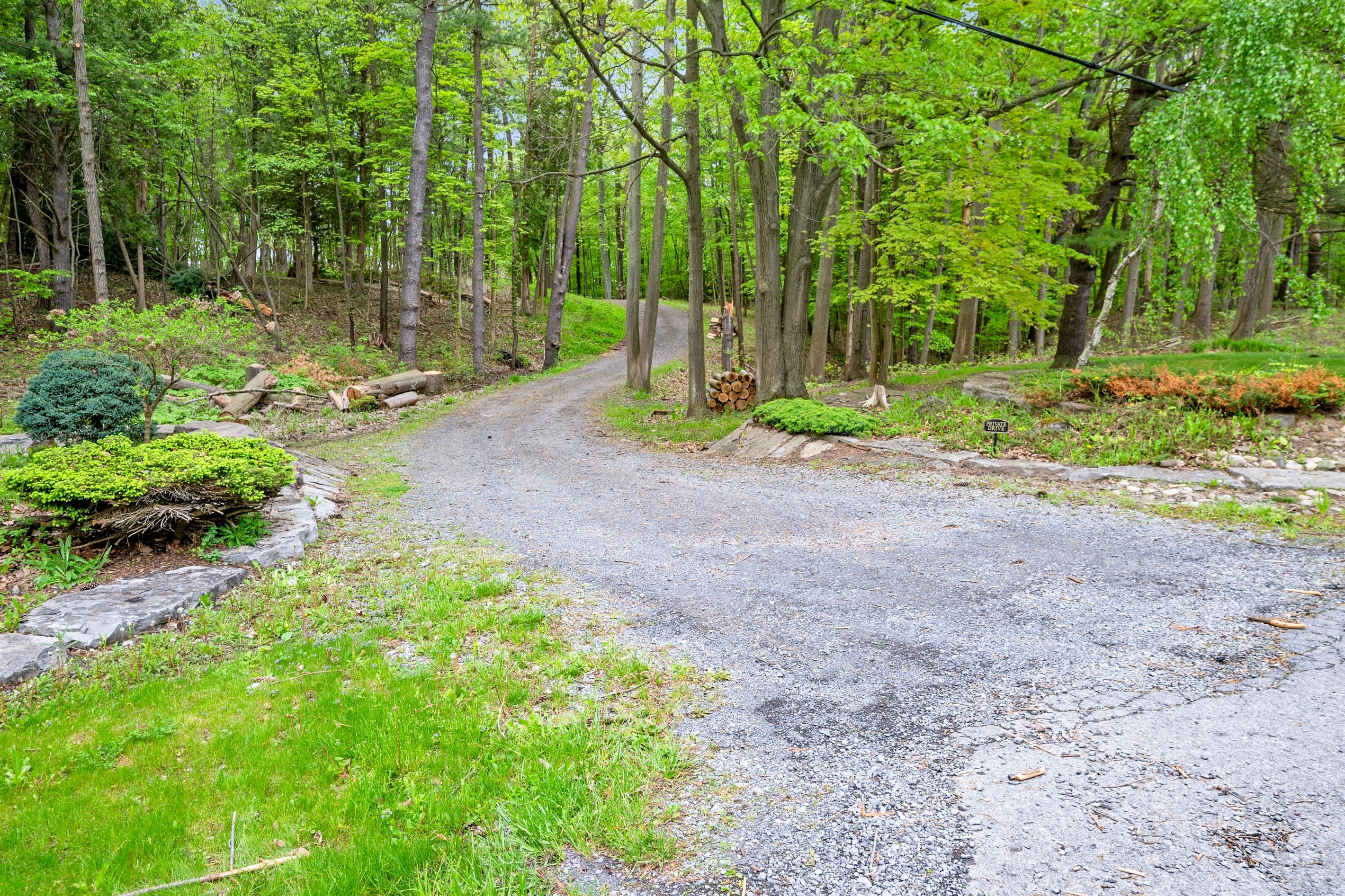 Curved driveway through the wooded property