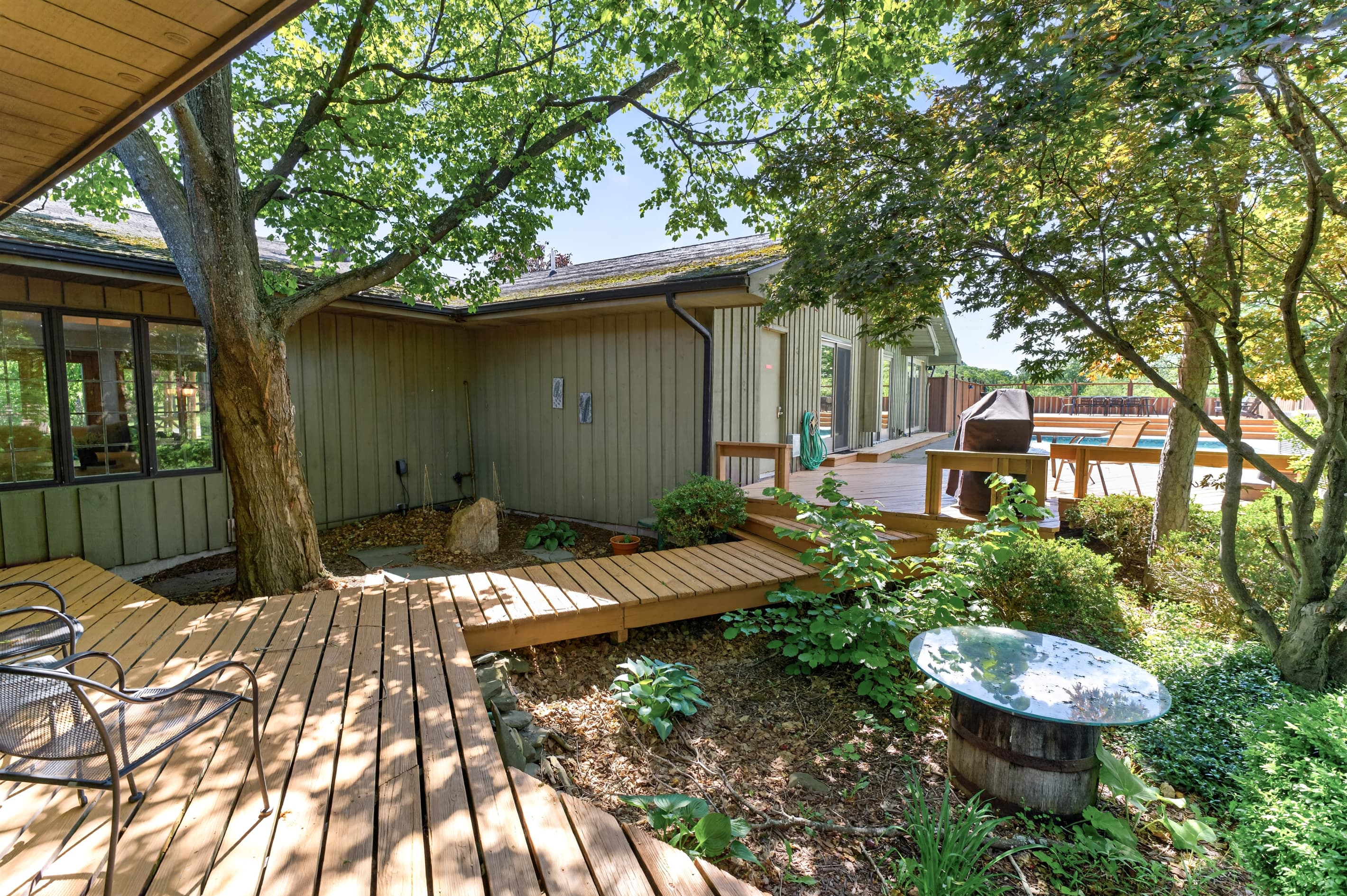 Shaded walkway beneath mature trees