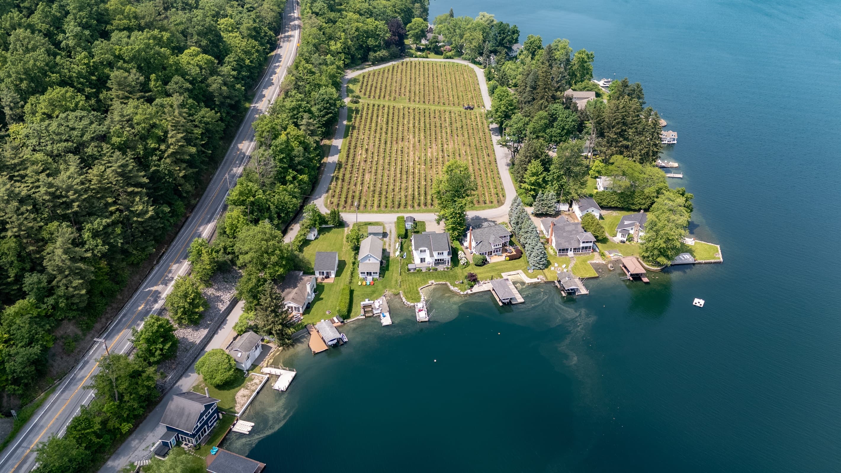 Lakeside property beside vineyard rows